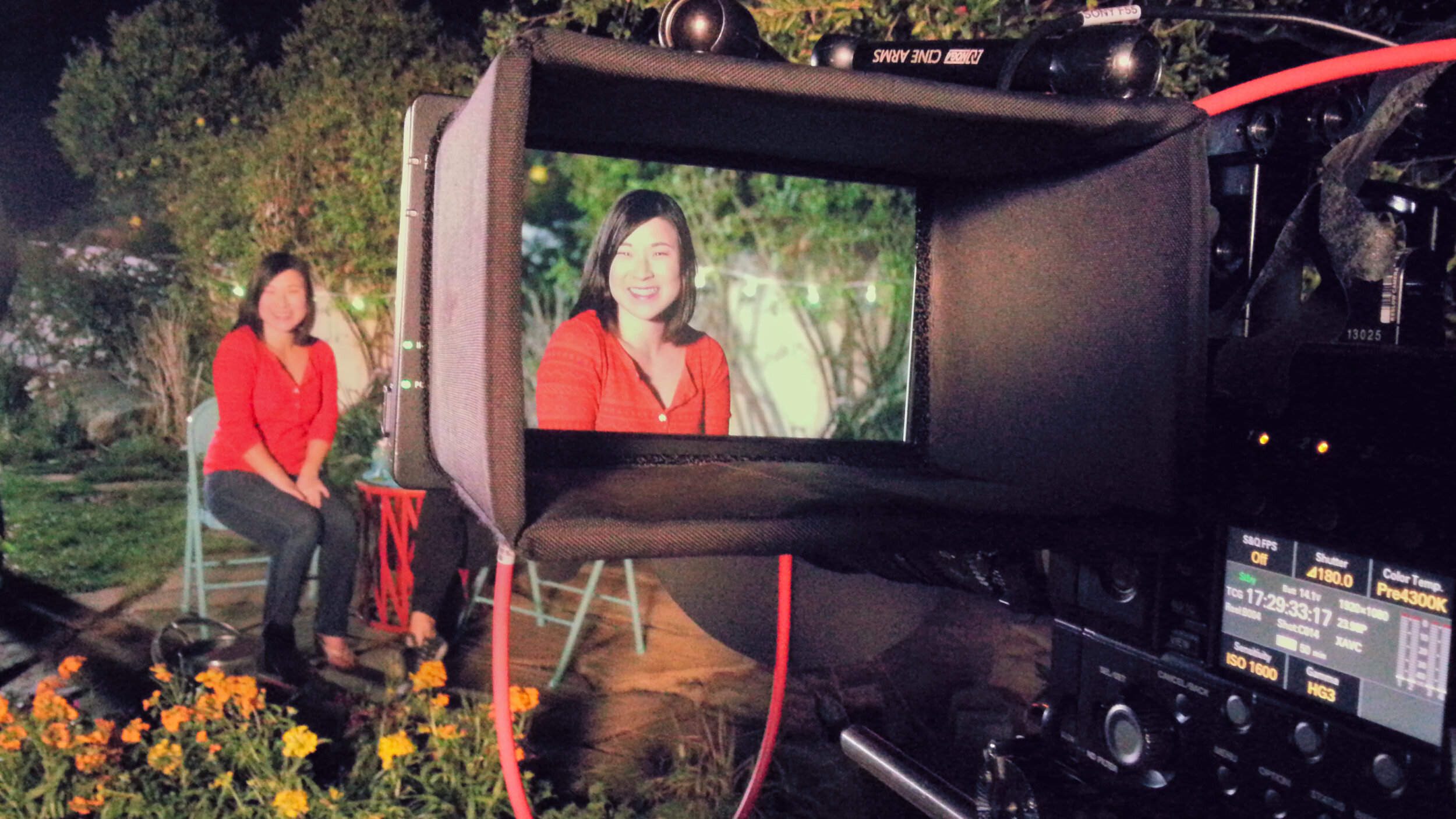 Miracle Gro: Organic Potting Mix