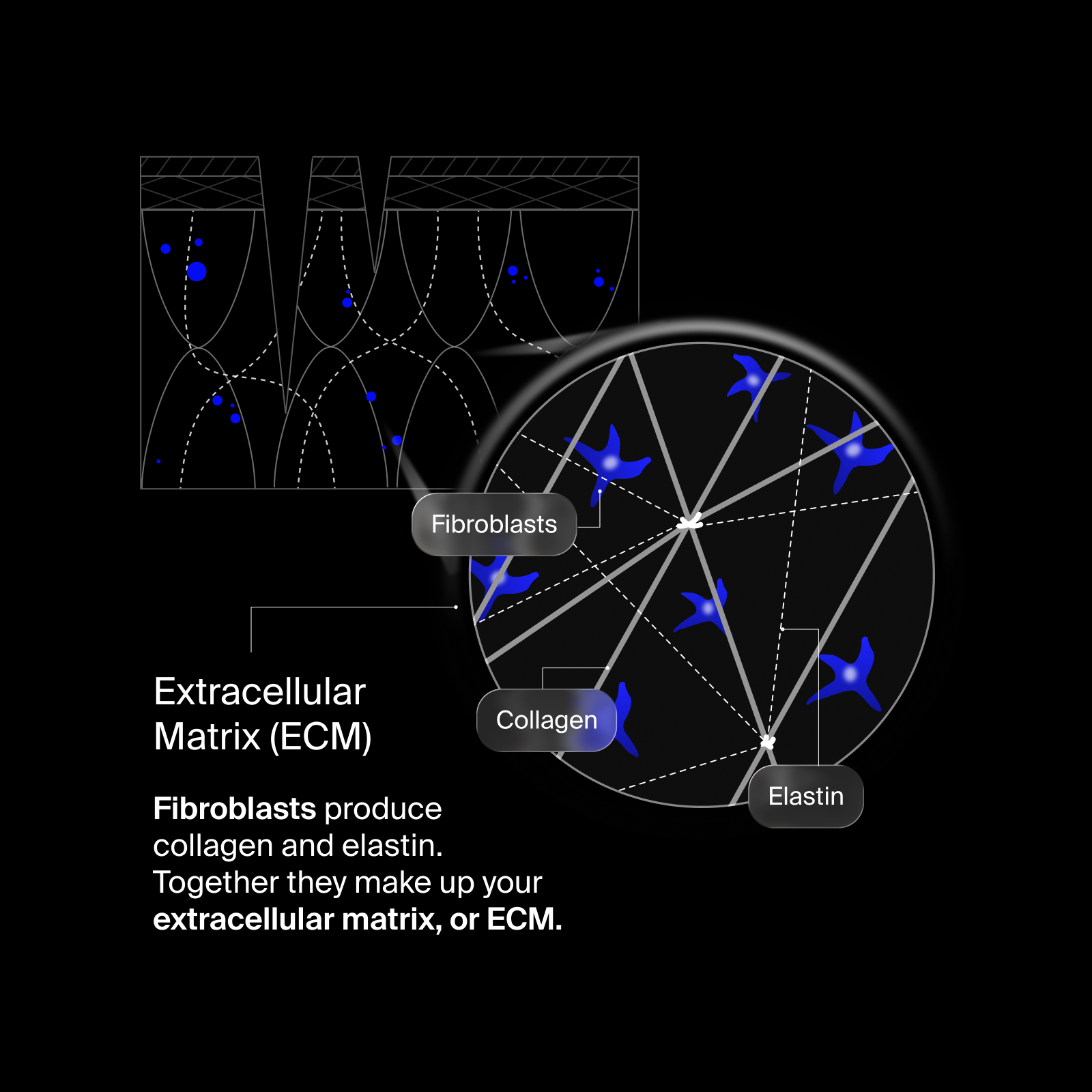 ECM-PDP-3-1.png