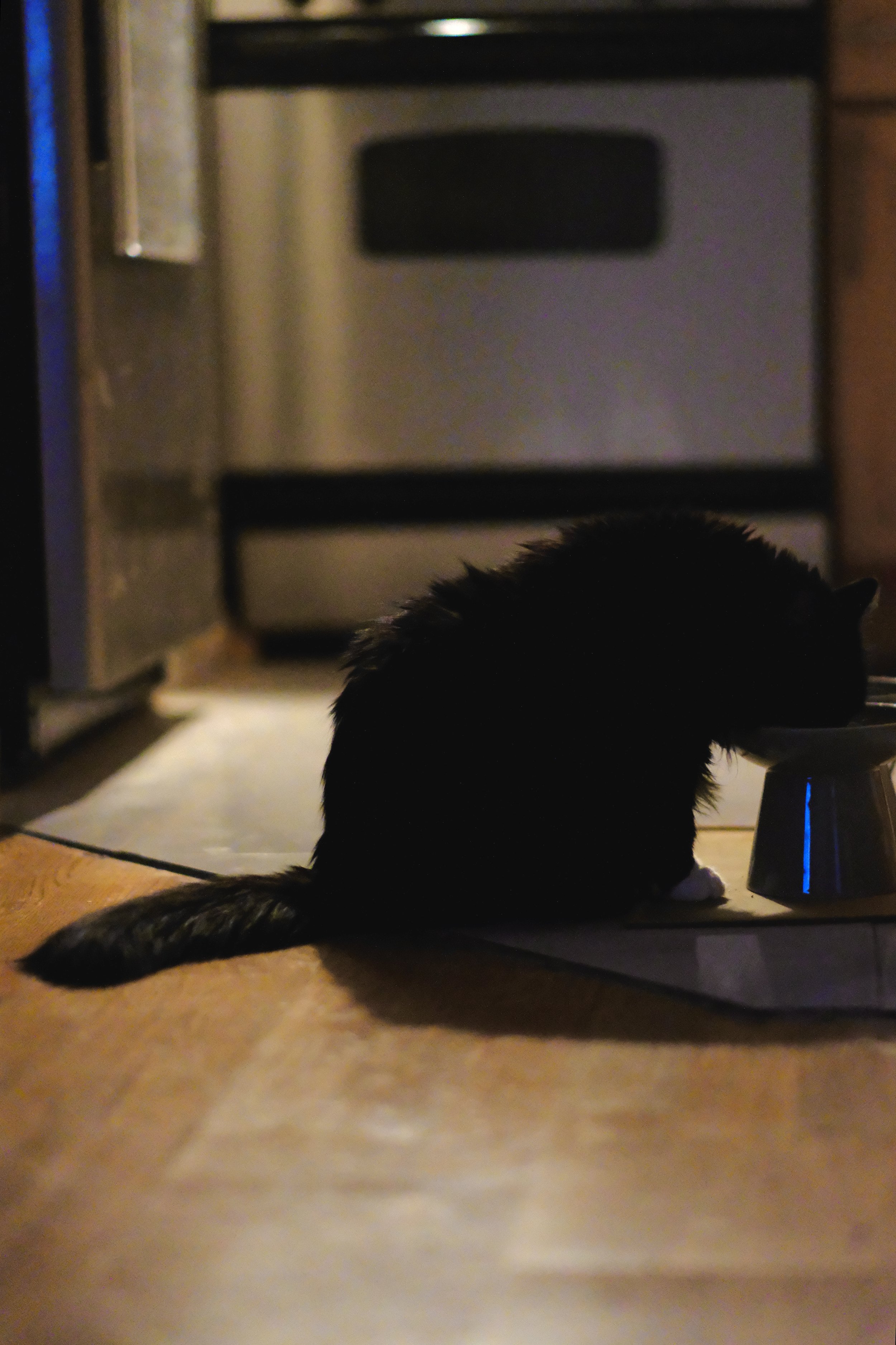 DSCF0040.jpg