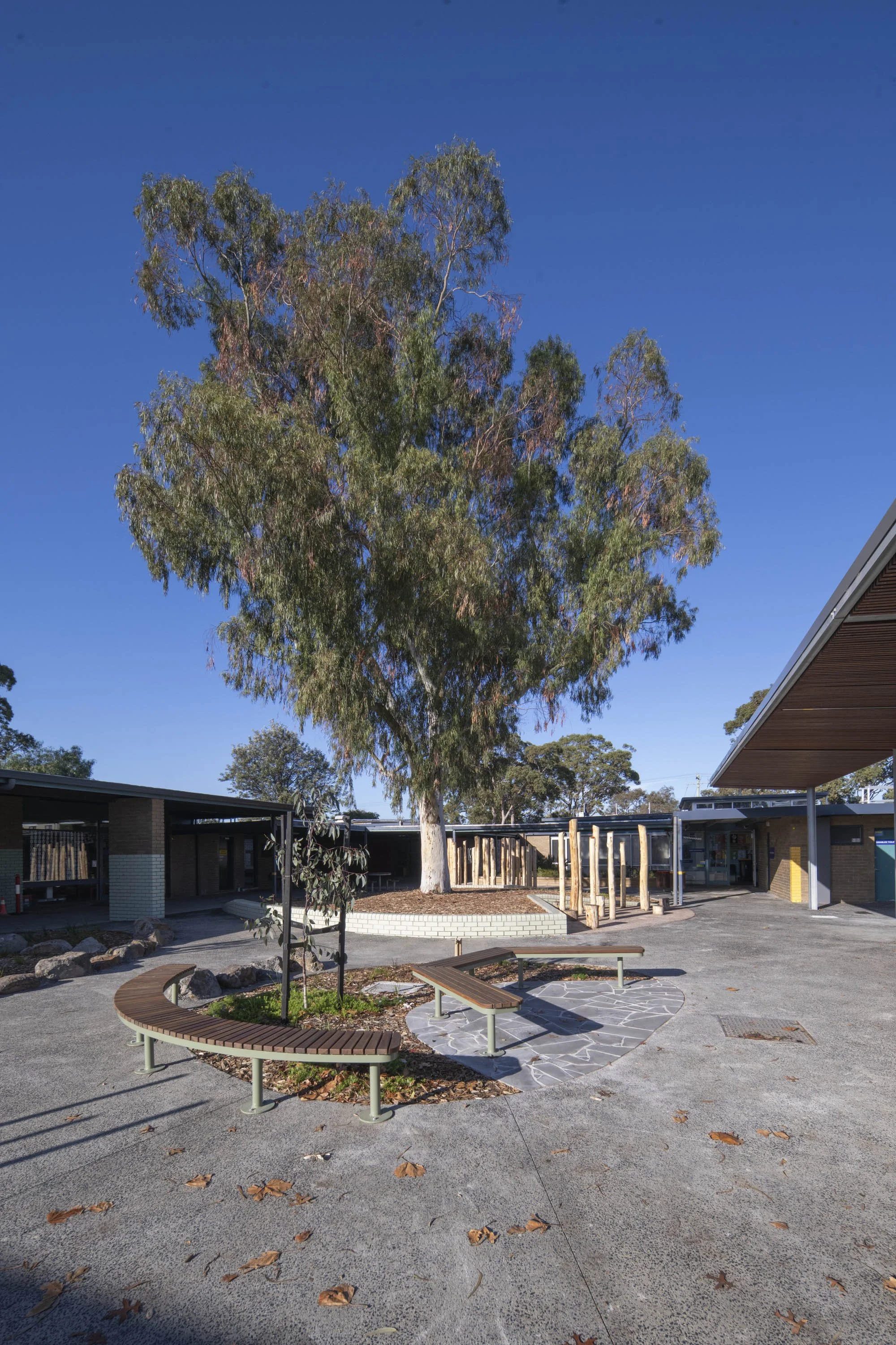 20250601 Elliott Kingston Heath Primary__DSC5392 lo res.jpg