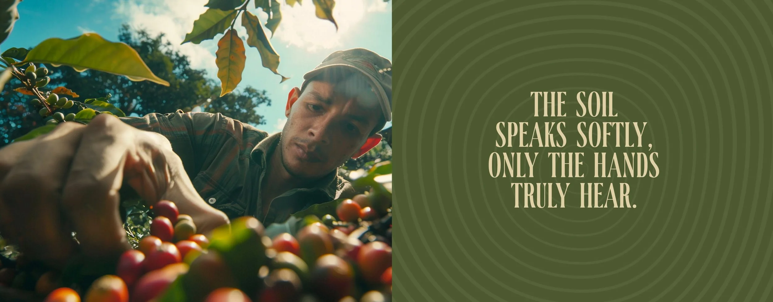 Artboard 1 copy 3.jpg