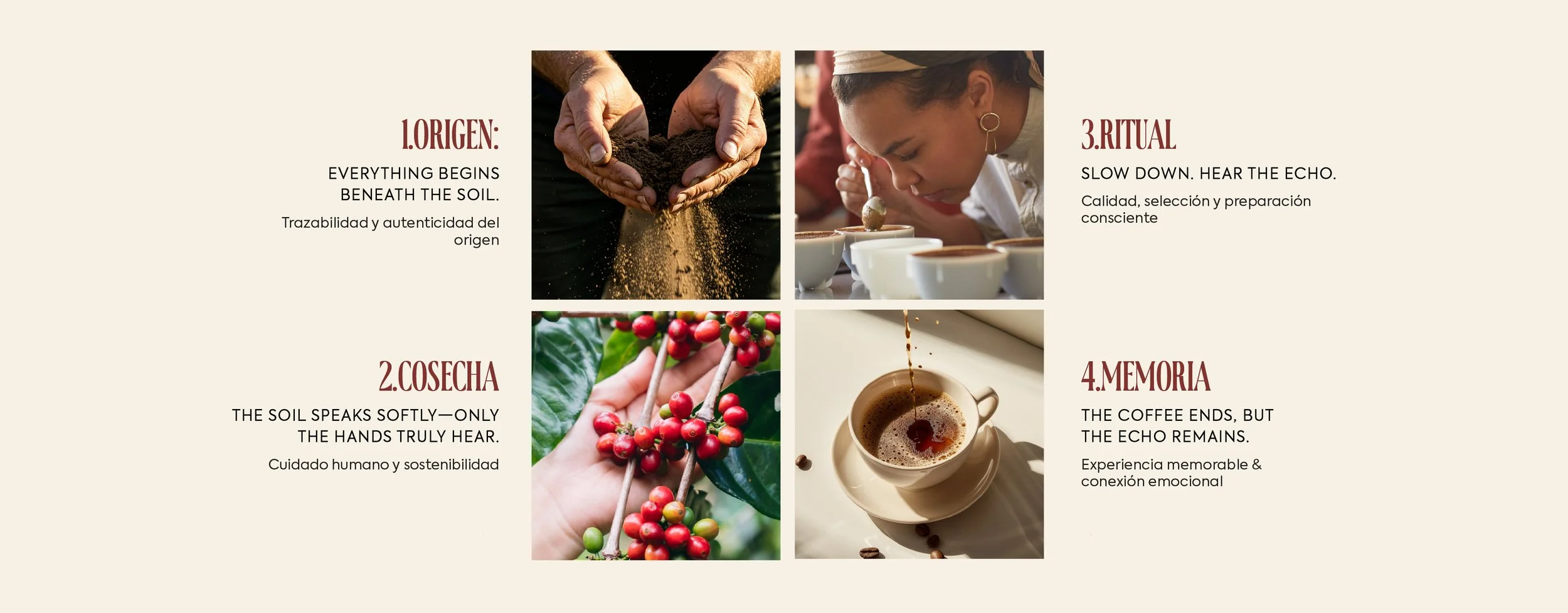 Artboard 1 copy 2.jpg