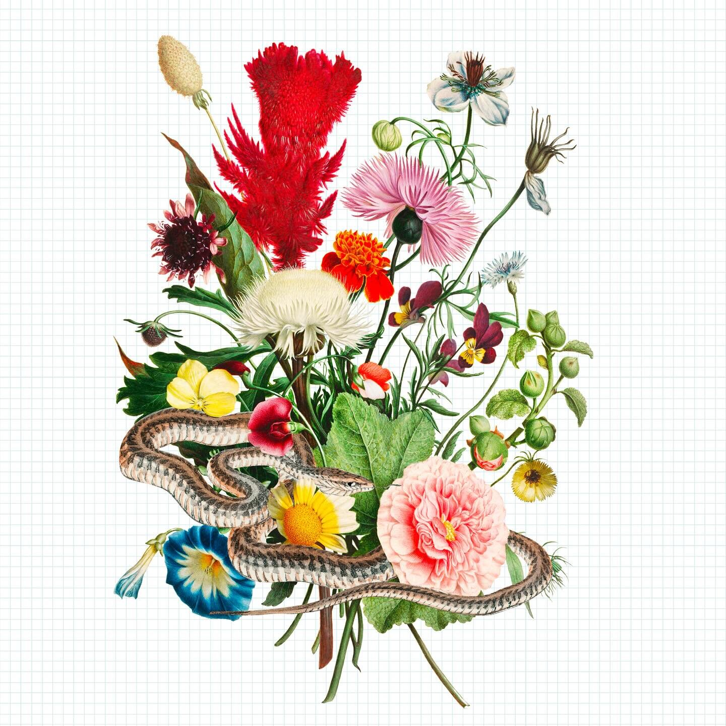 a little collection of #springtime collages 🌸🦋🪴🪻🌼🌻🌾🪺🌱🐍

#collage #collageart #collageartwork #collagework #collageoftheday #spring #wildflower #wildflowers #florals #serpent #snakeandflowers #floralart #victorian #flowers #flowerstagram #fl