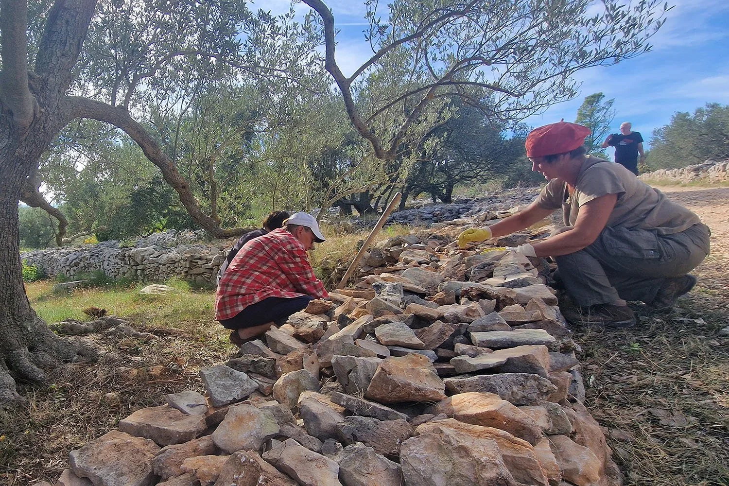 Dry-stone walling workshop