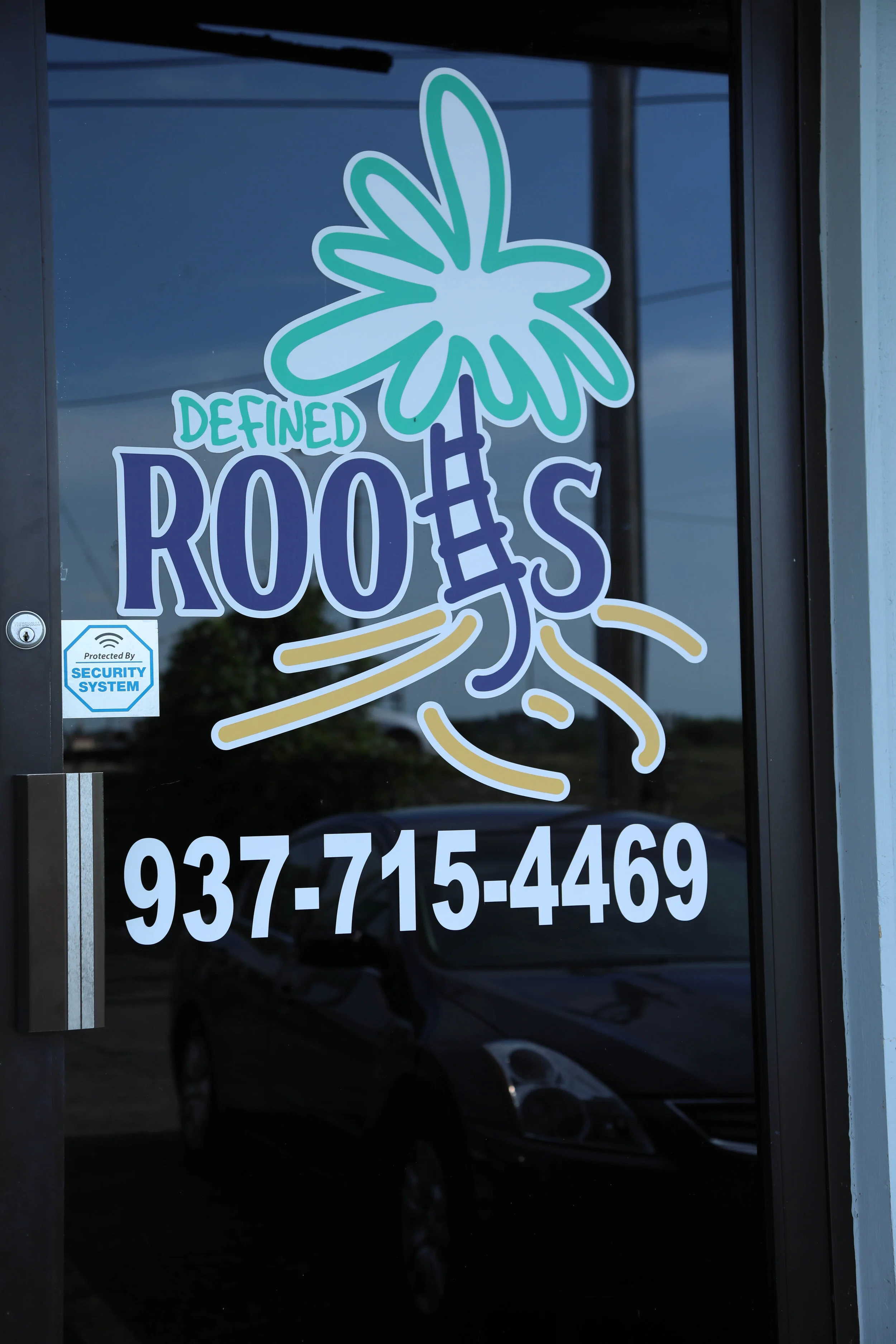Gallery — Defined Roots