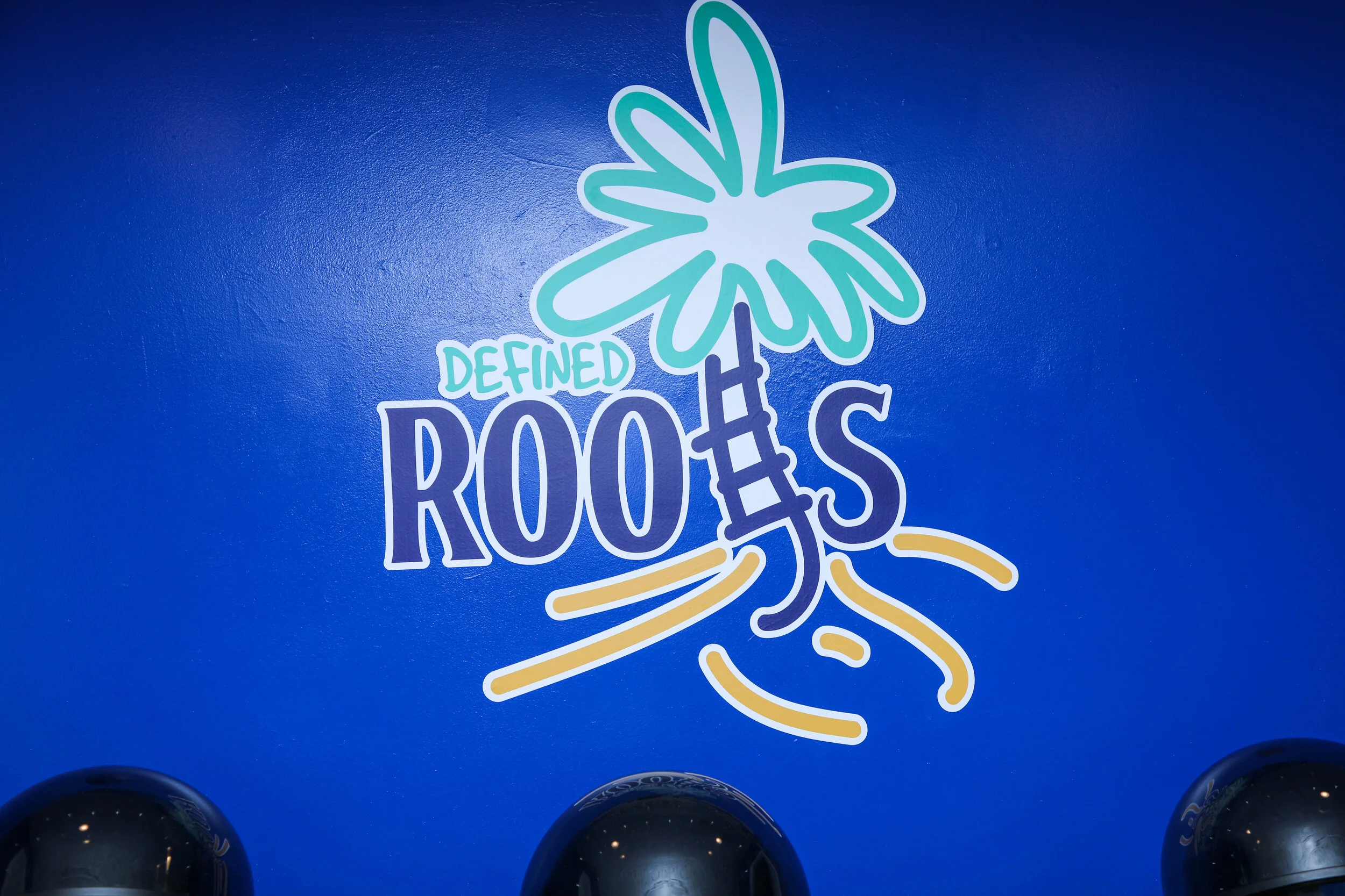Gallery — Defined Roots