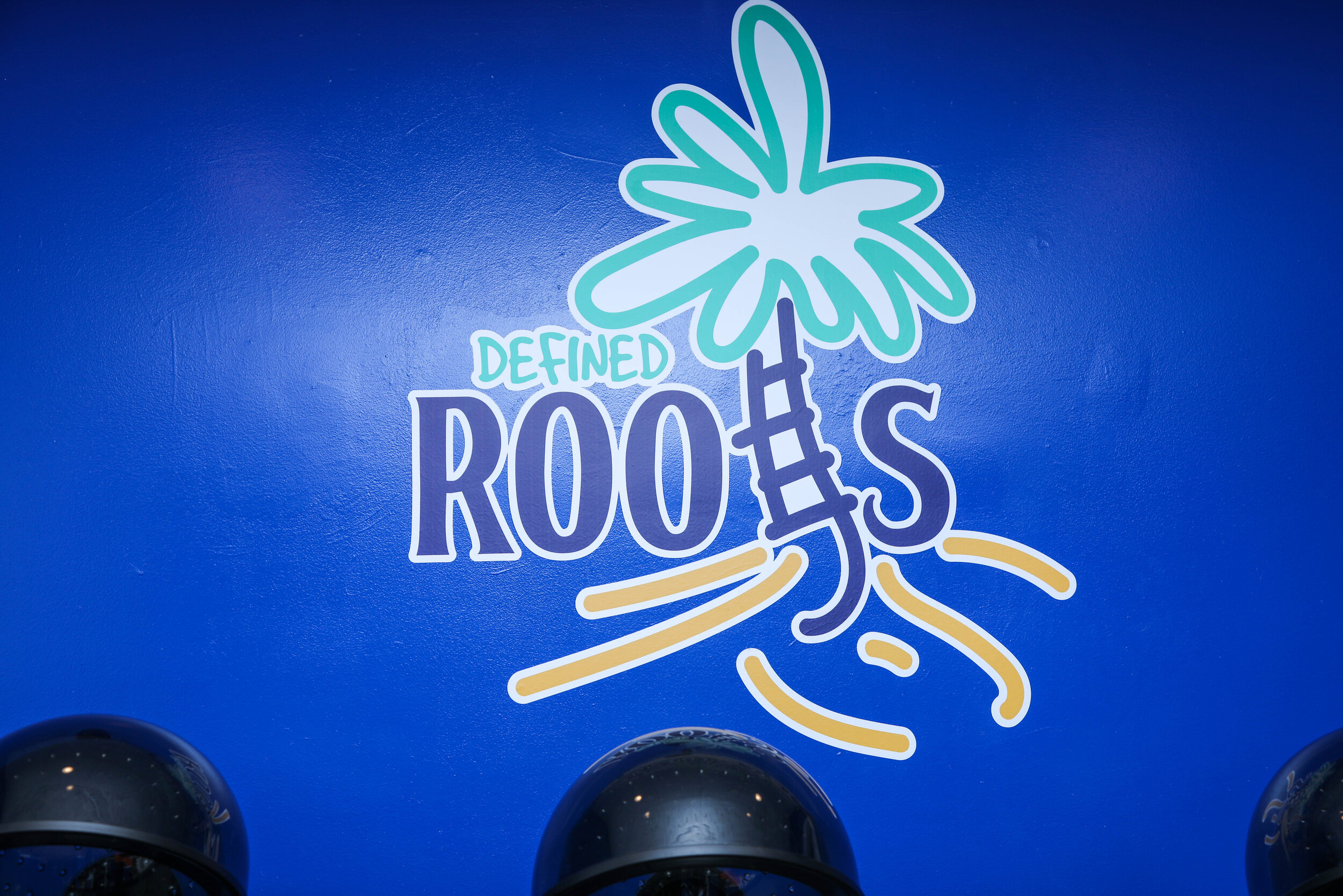 Defined Roots