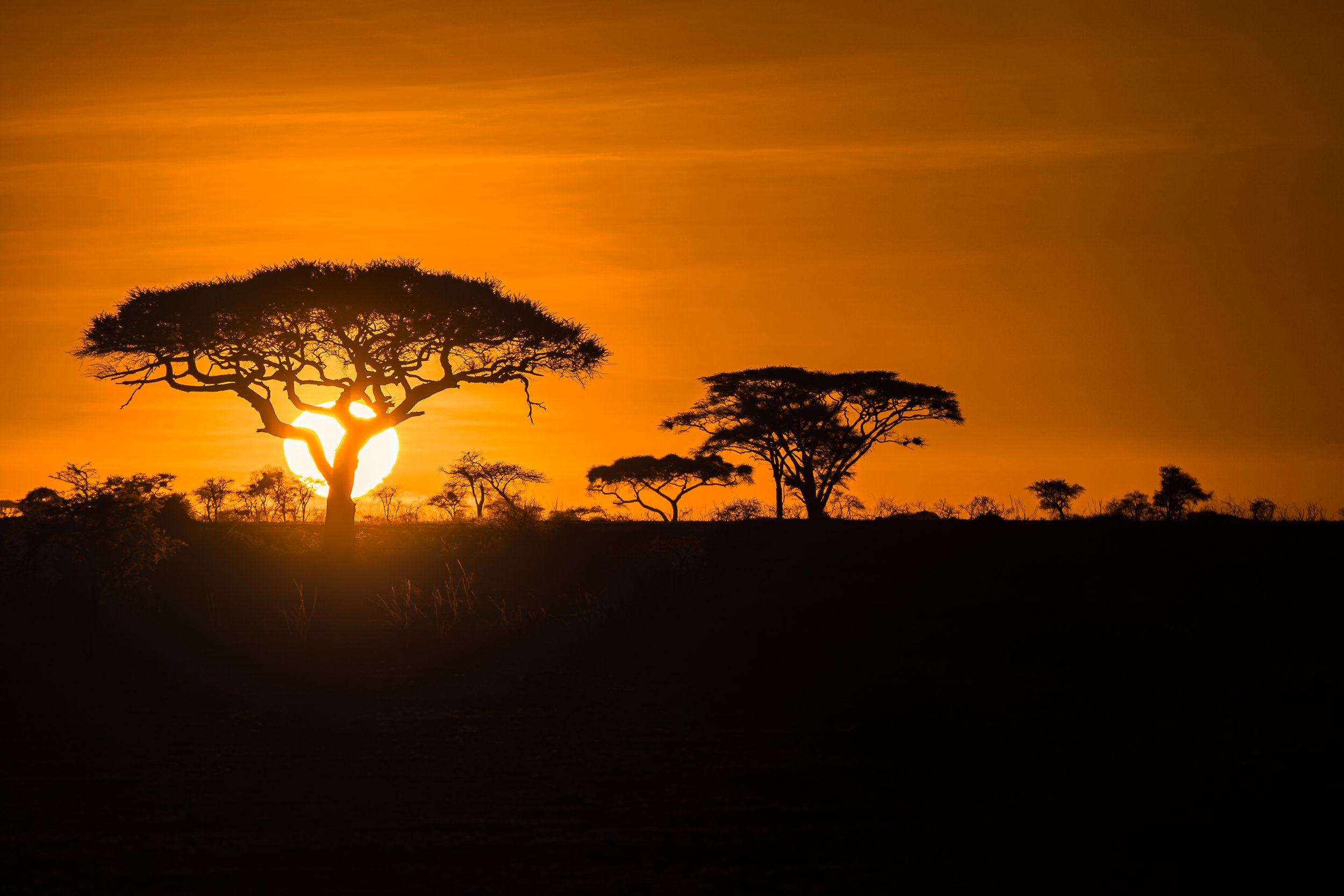 Serengeti National Park