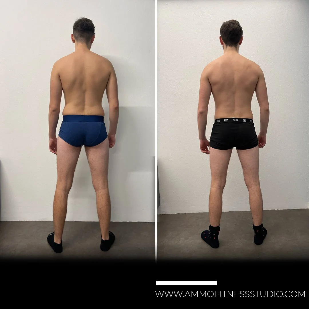 NICOLA PETRESCU BACK.jpg
