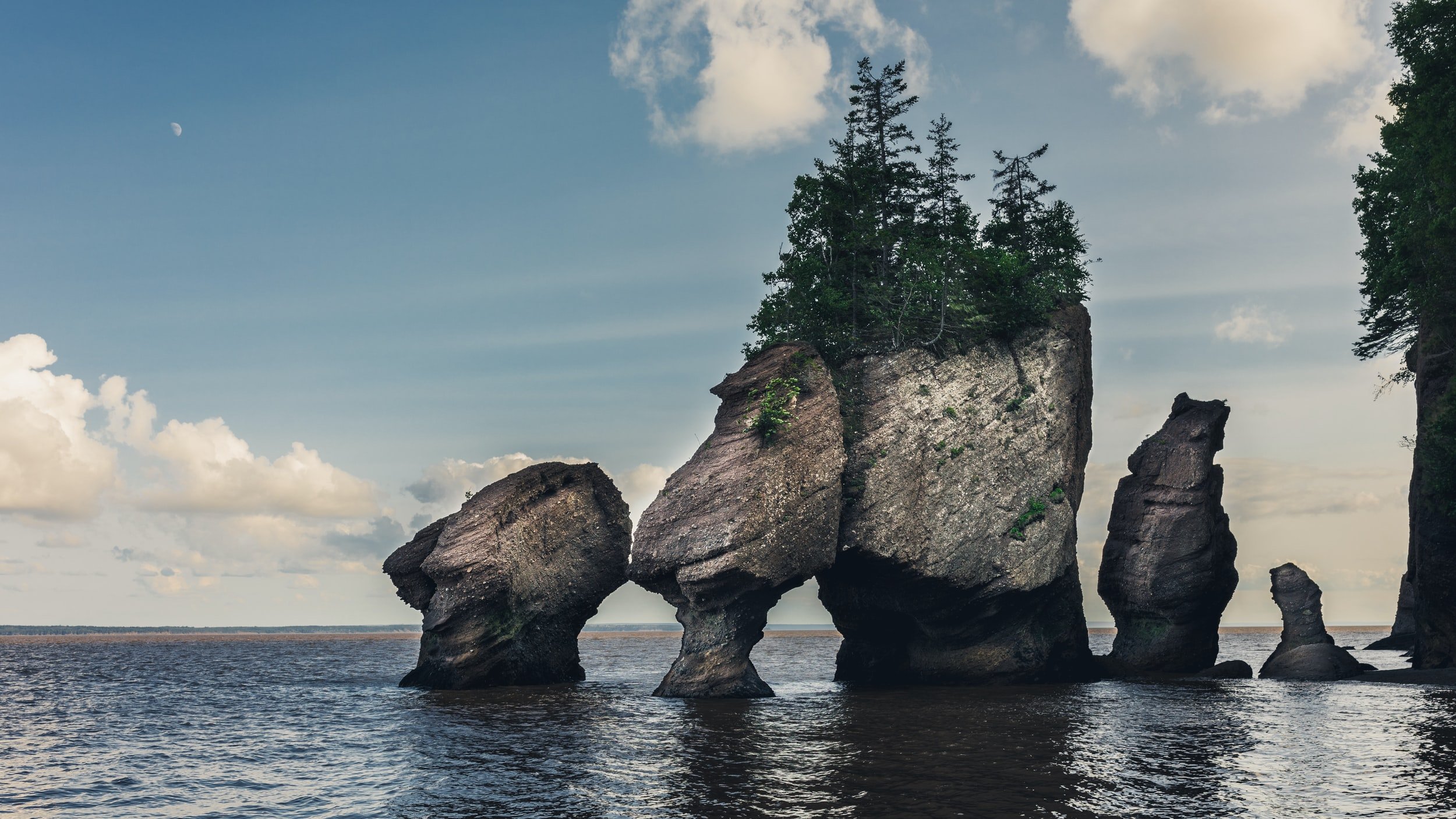 unsplash-image-wH8WGw5xyO0.jpg
