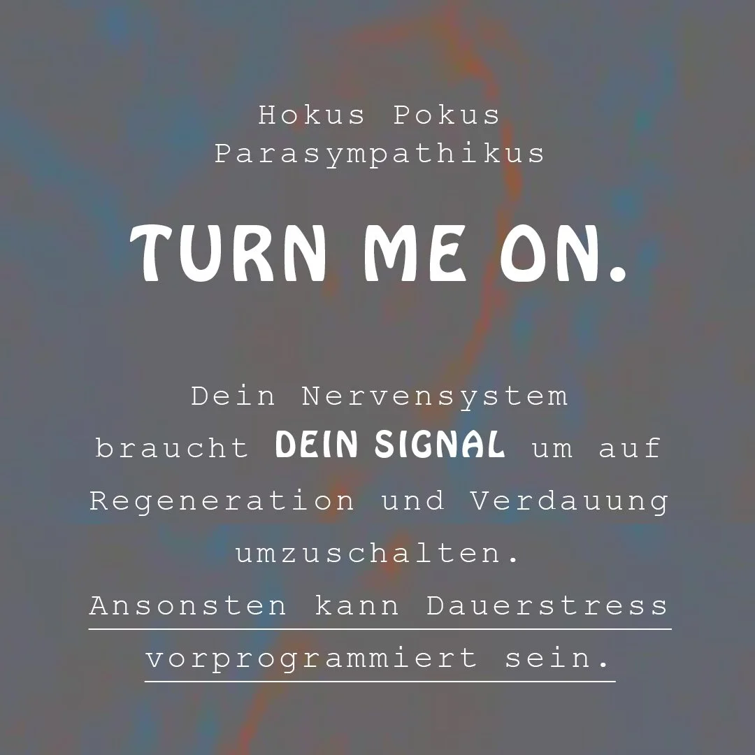 Nervensystem_01.jpg