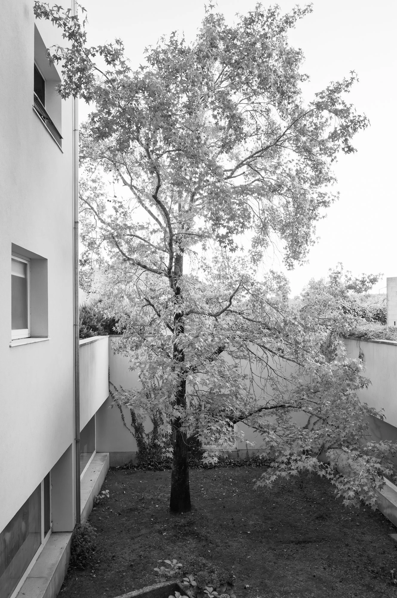Souto de Moura_PedroCardigo-26.jpg