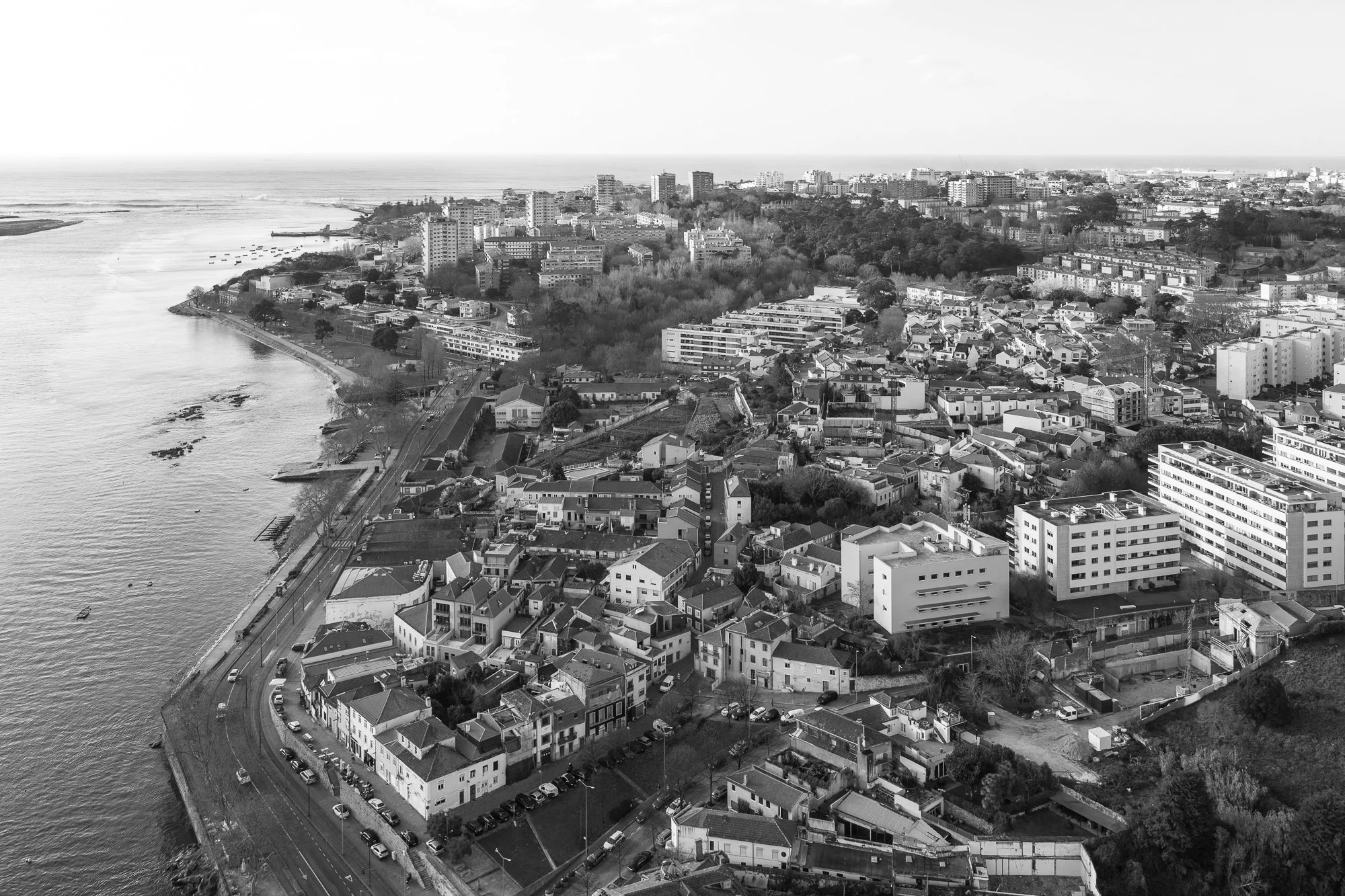 Aleixo_PedroCardigo-33.jpg