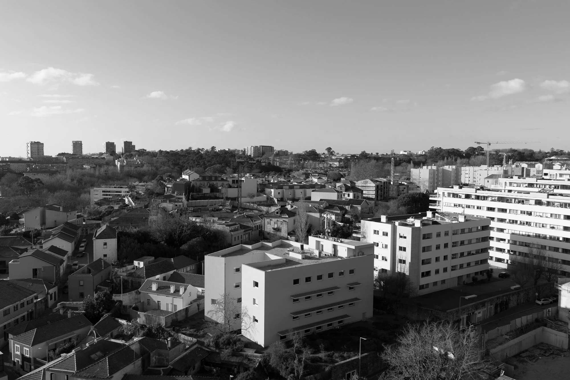 Aleixo_PedroCardigo-37.jpg