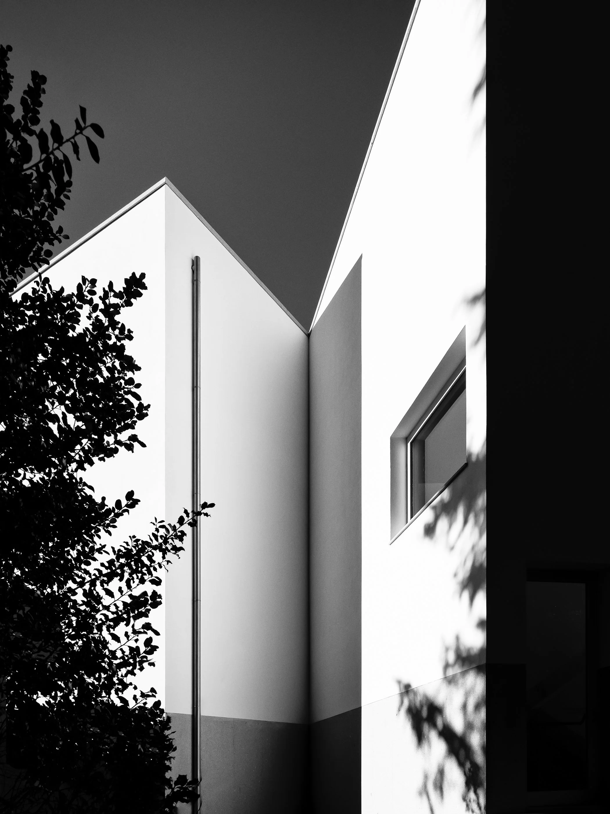 acto2-9.jpg