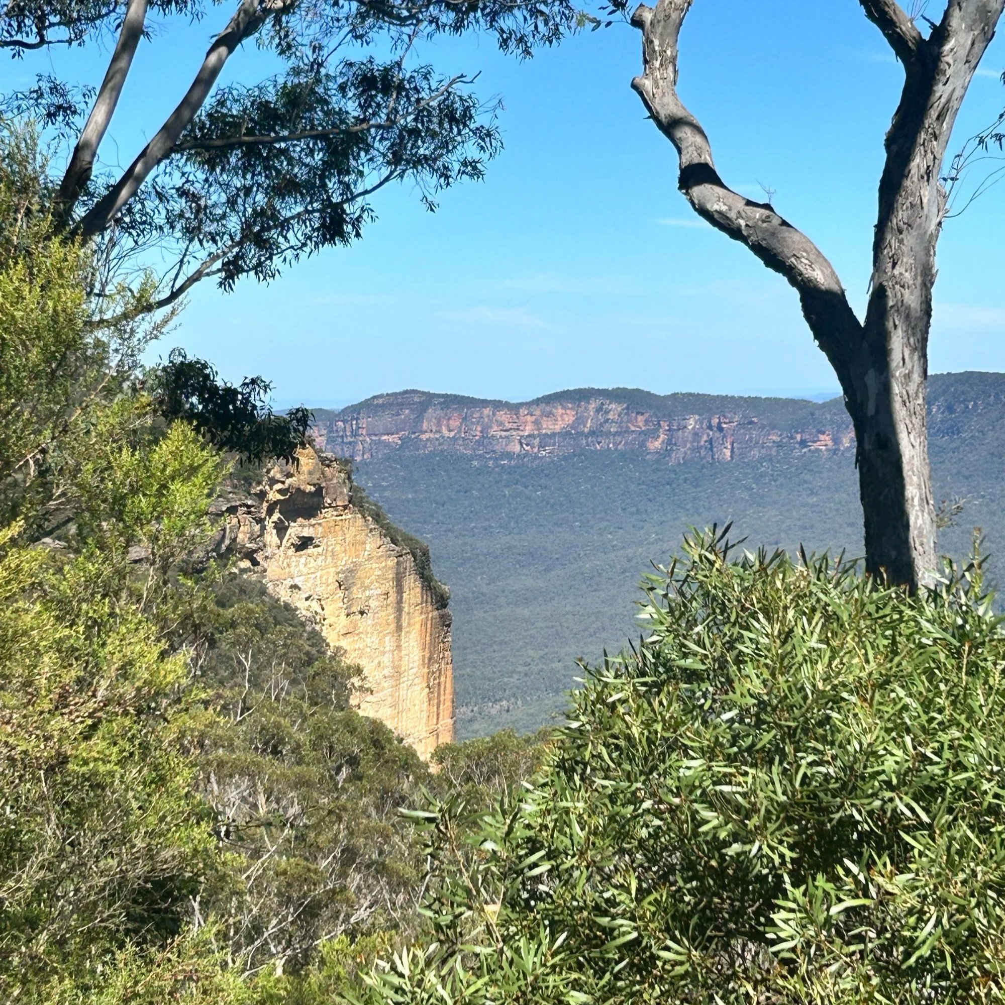 What’s our “why”?