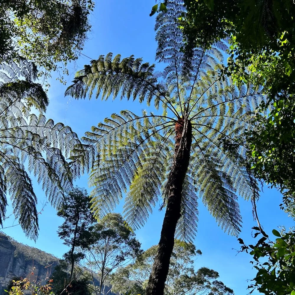 Growth and Sustainability