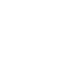 ENERGY USED ICON