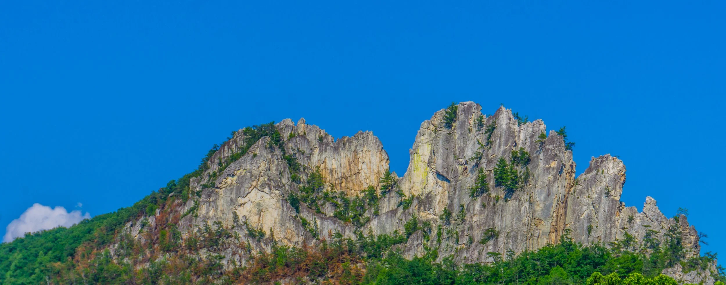 Rock Climb Seneca Rocks, WV Blue Ridge Mountain Guides