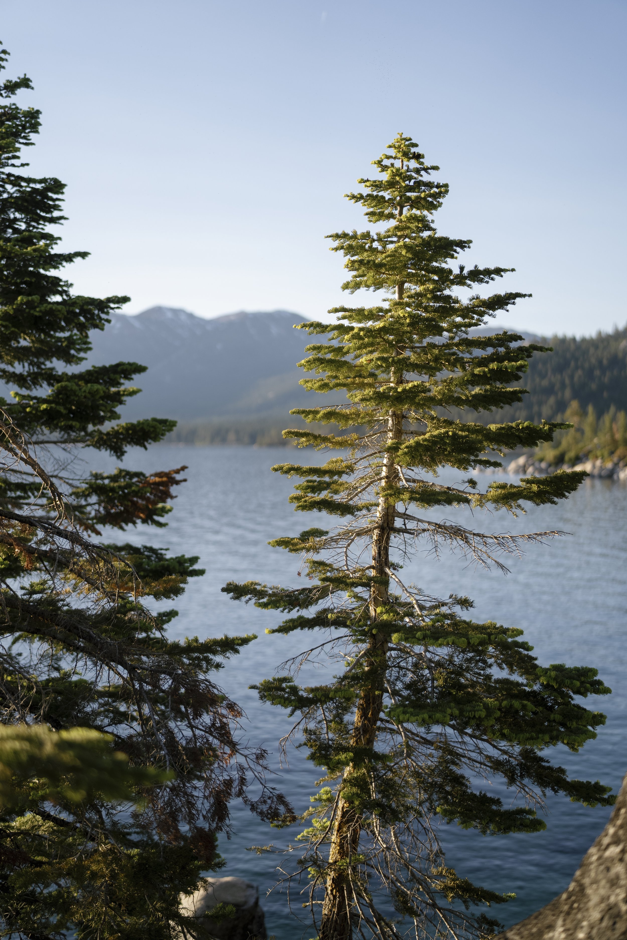 Kameron Senior Pics0604.jpg