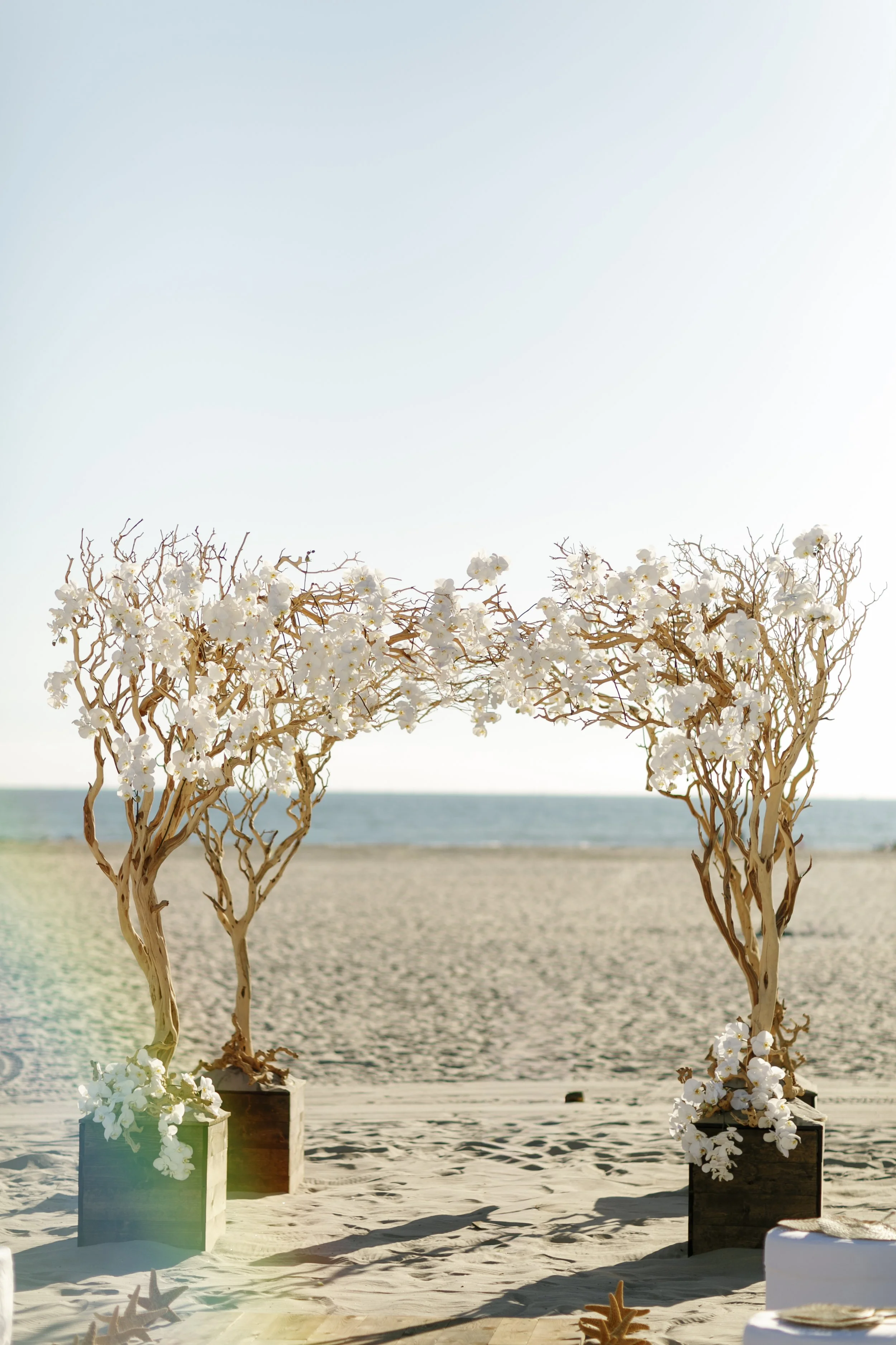 J + Jaime Married2160.jpg