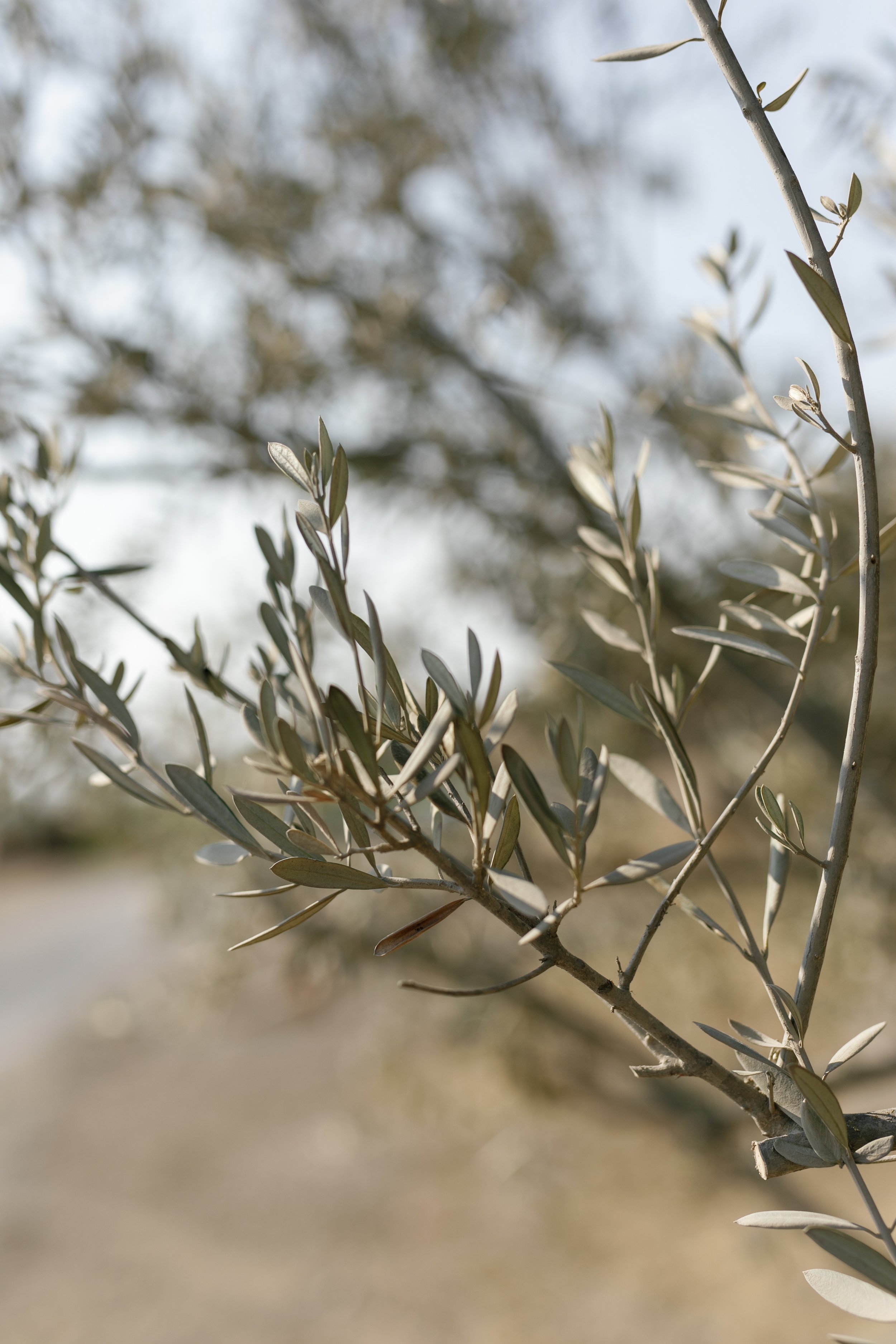 Christina + Clark Married1061.jpg