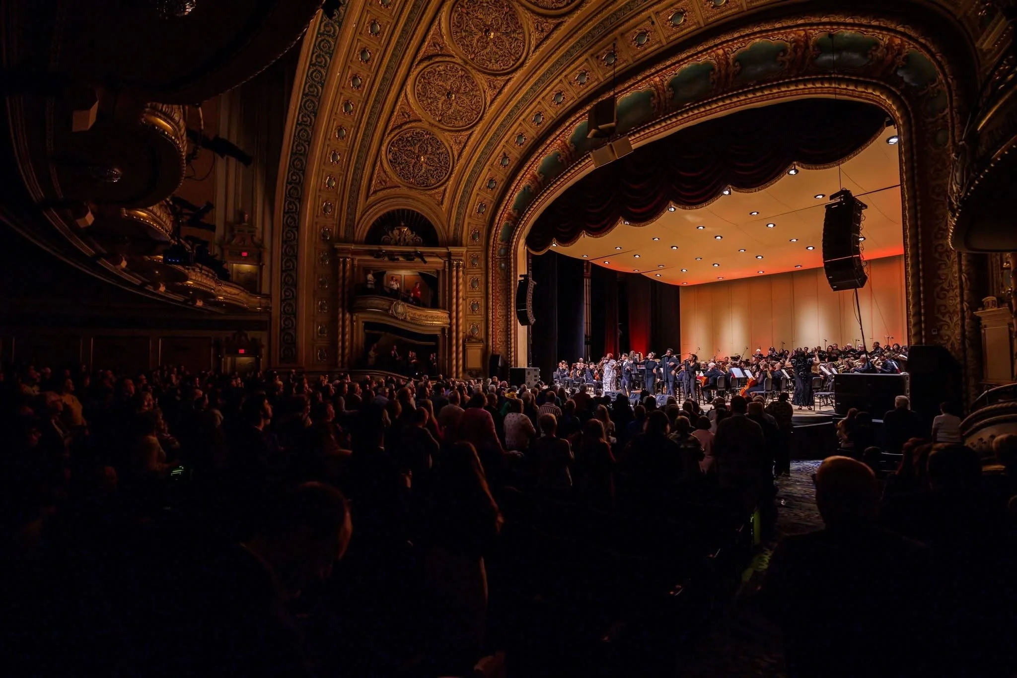 Peter Ringenberg Photography