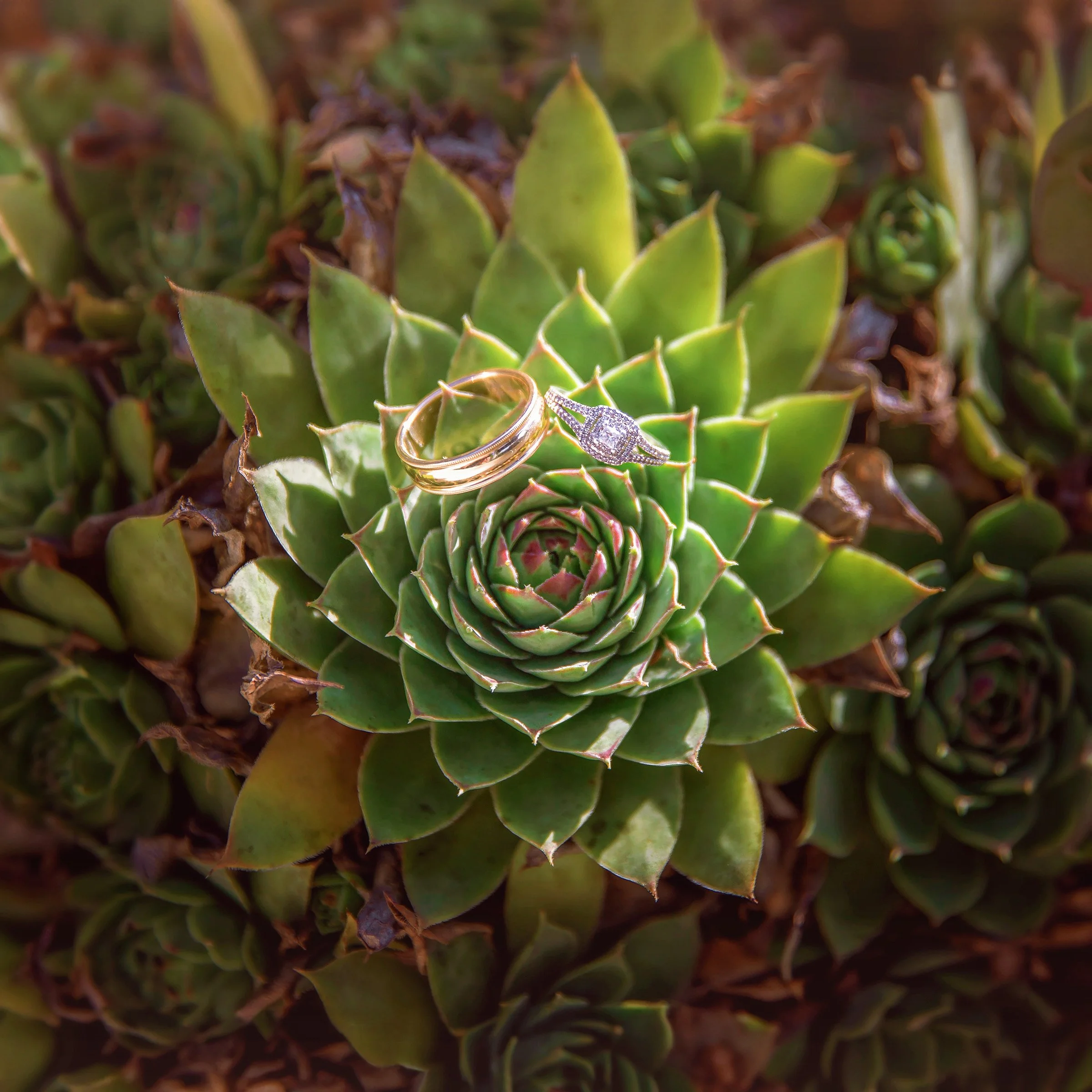 squarespace-complete-16.jpg