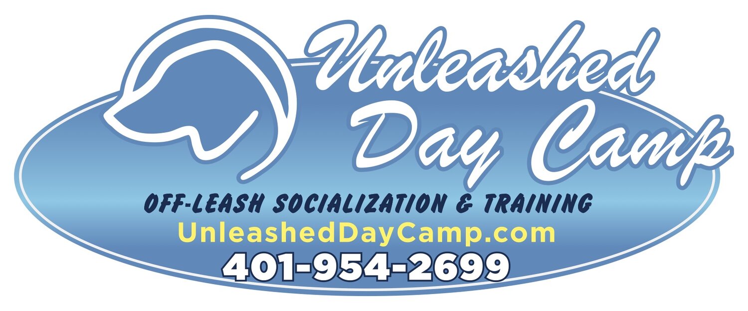 Unleashed! Day Camp - Off Leash Socialization - Play - Dog Day Care RI