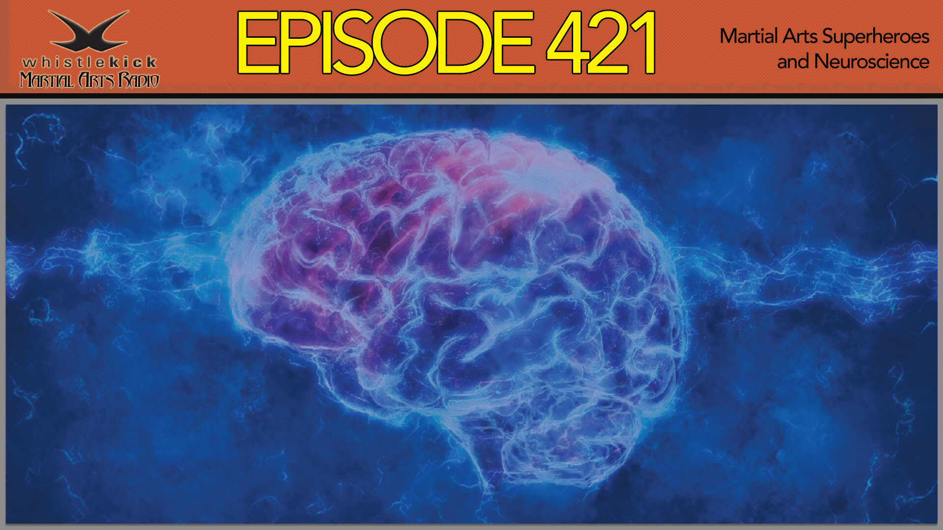 Geruïneerd Machtigen laat staan Episode 421 - Martial Arts Superheroes and Neuroscience — whistlekick  Martial Arts Radio