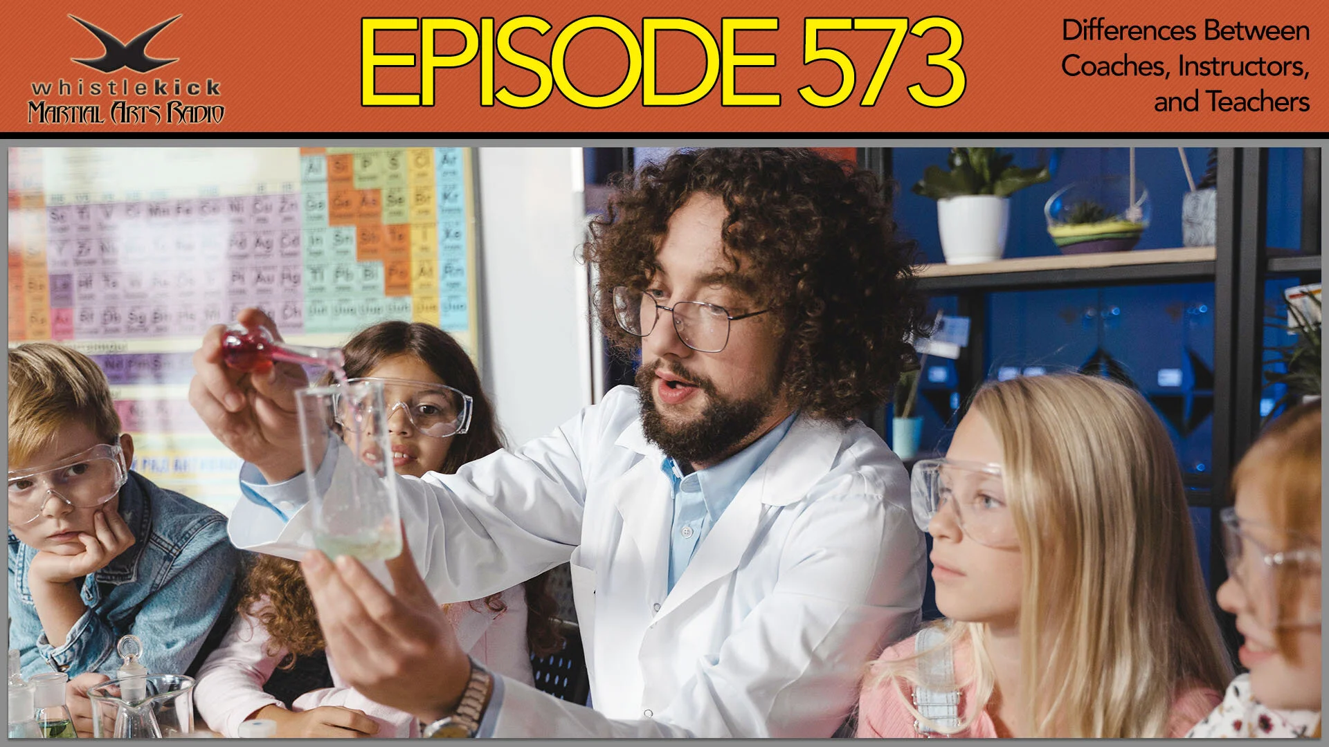Episode 573 Differences Between Coaches Instructors And Teachers Whistlekick Martial Arts Radio