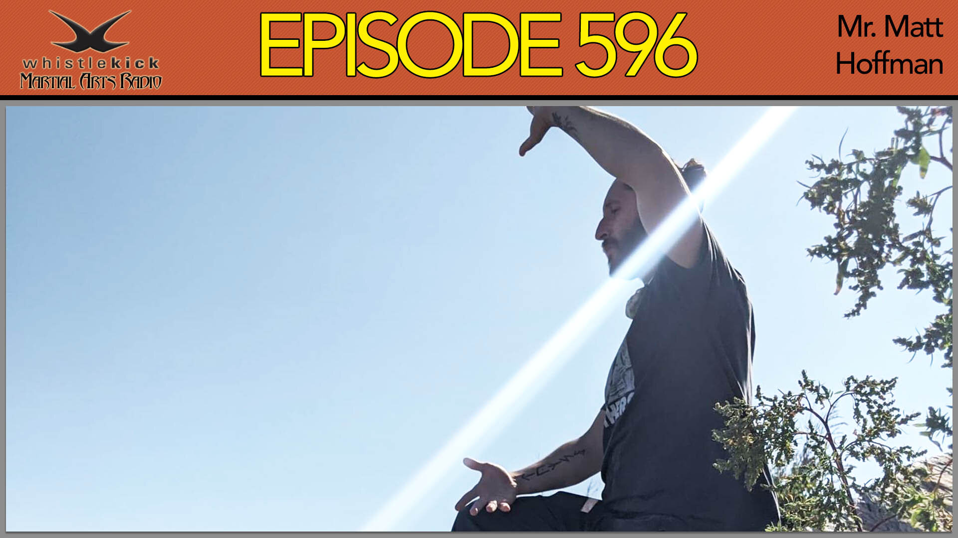 Episode 596 Mr Matt Hoffman Whistlekick Martial Arts Radio