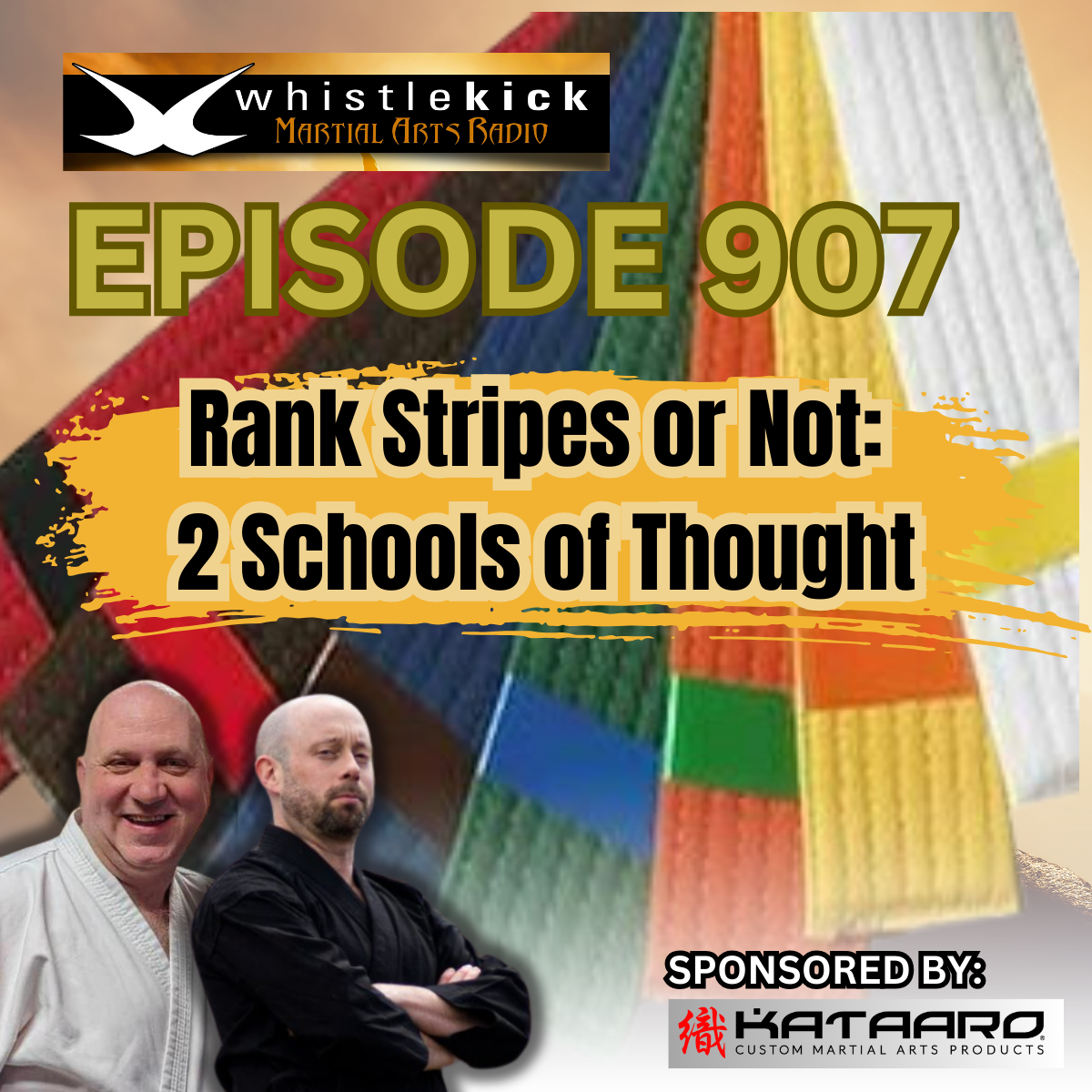 Episode 907 - 2 Schools of Thought: Rank Stripes or not