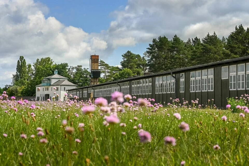 When it rears its ugly head Posted on January 23, 2026