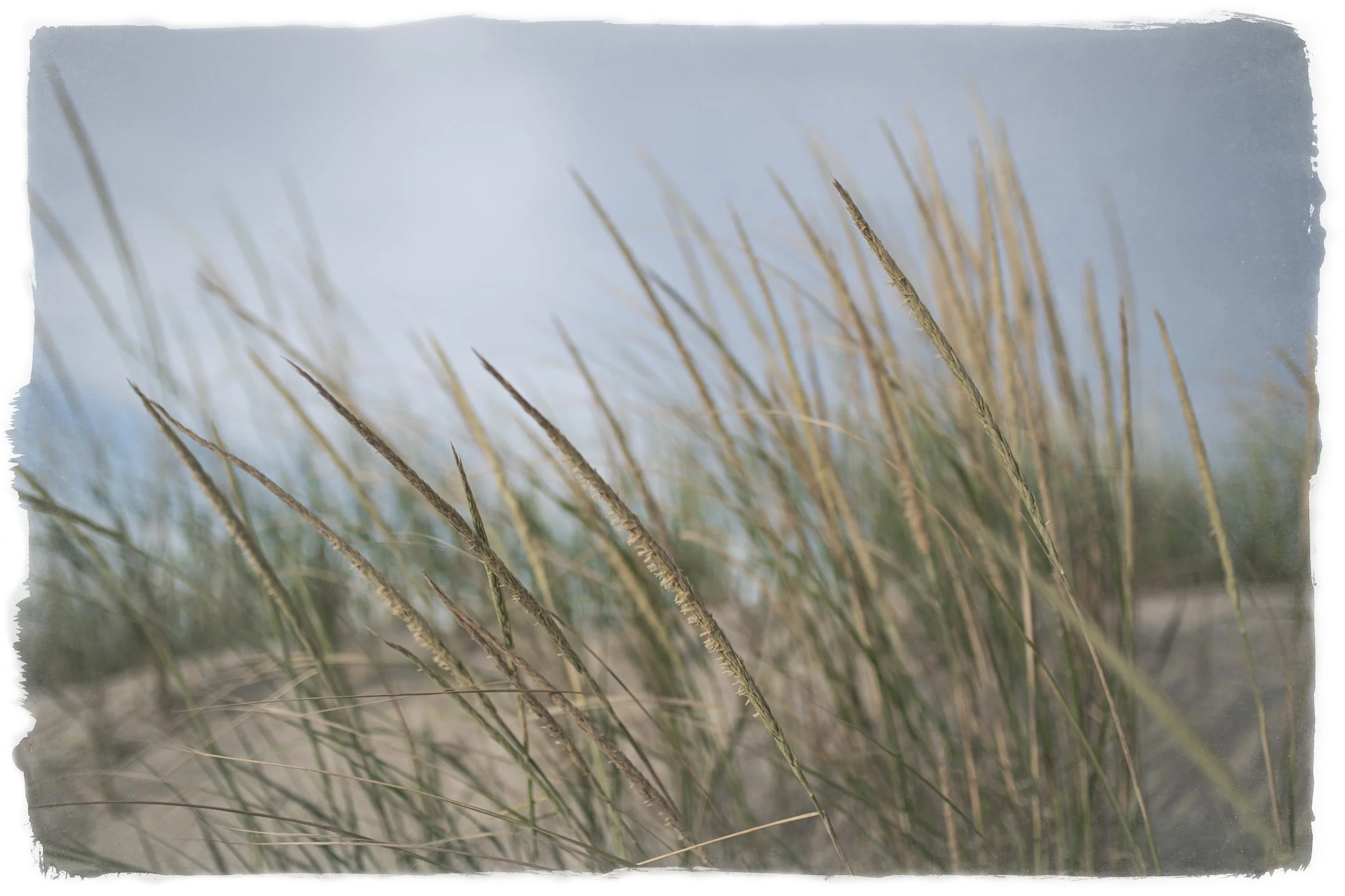 Craig20avalon80106-Edit-2.JPG