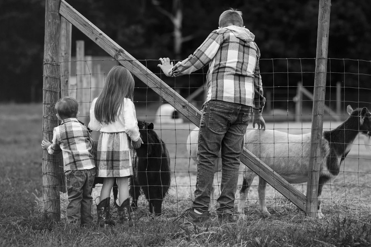 Rach25_FAmily900164-Edit-2 (1).JPG