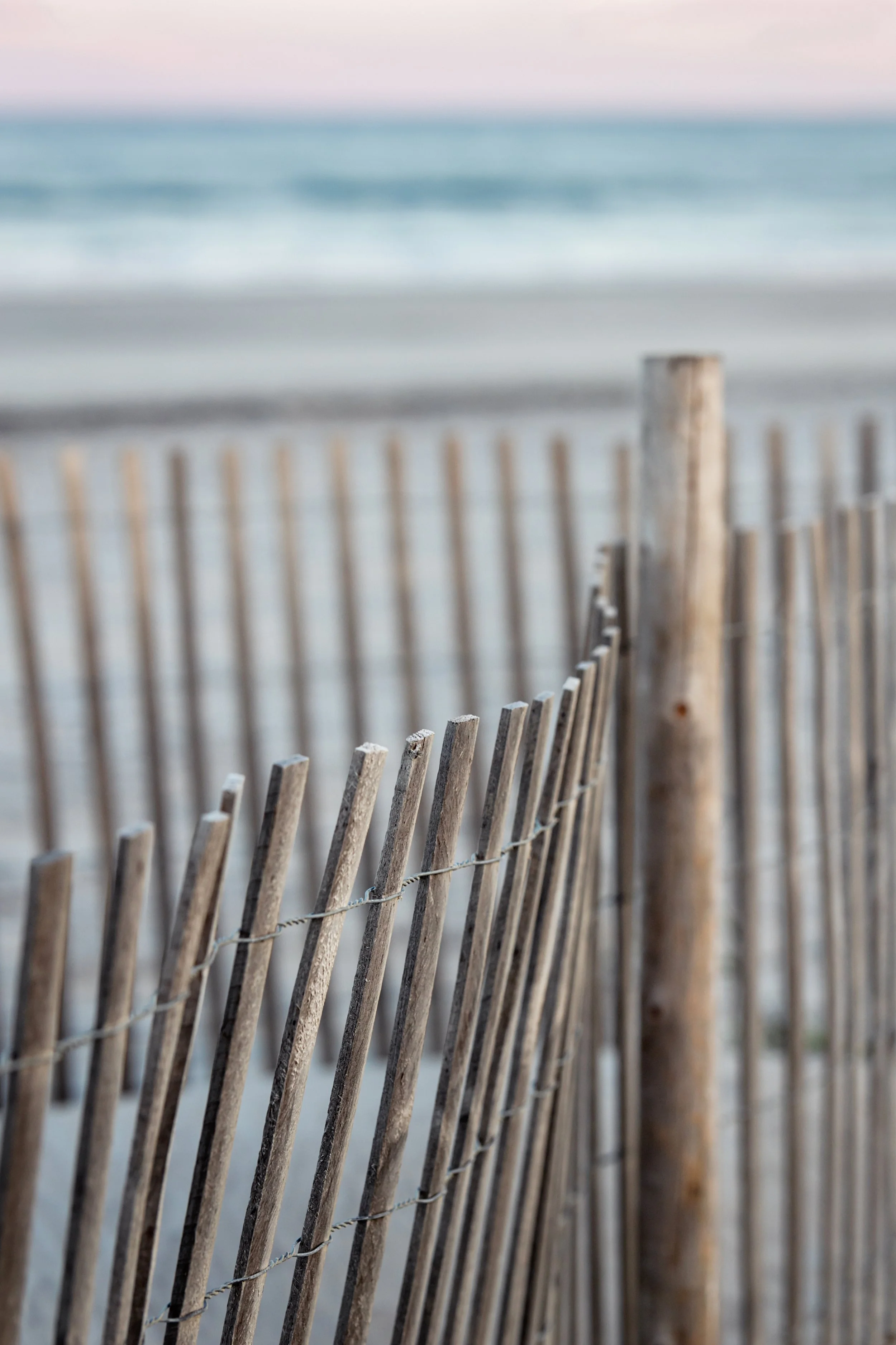 2nd_street_path090121-Edit-Edit.JPG