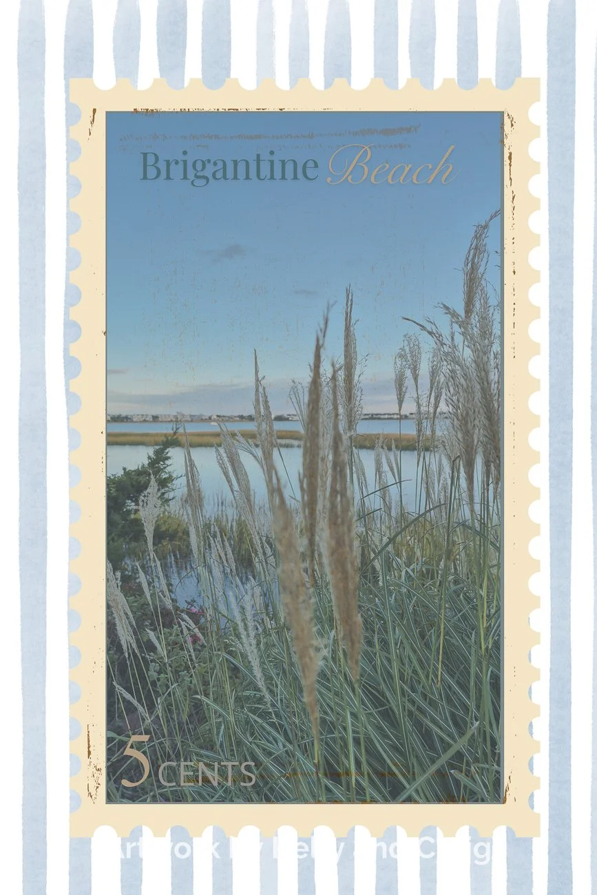 brig beach stamp grass.JPG