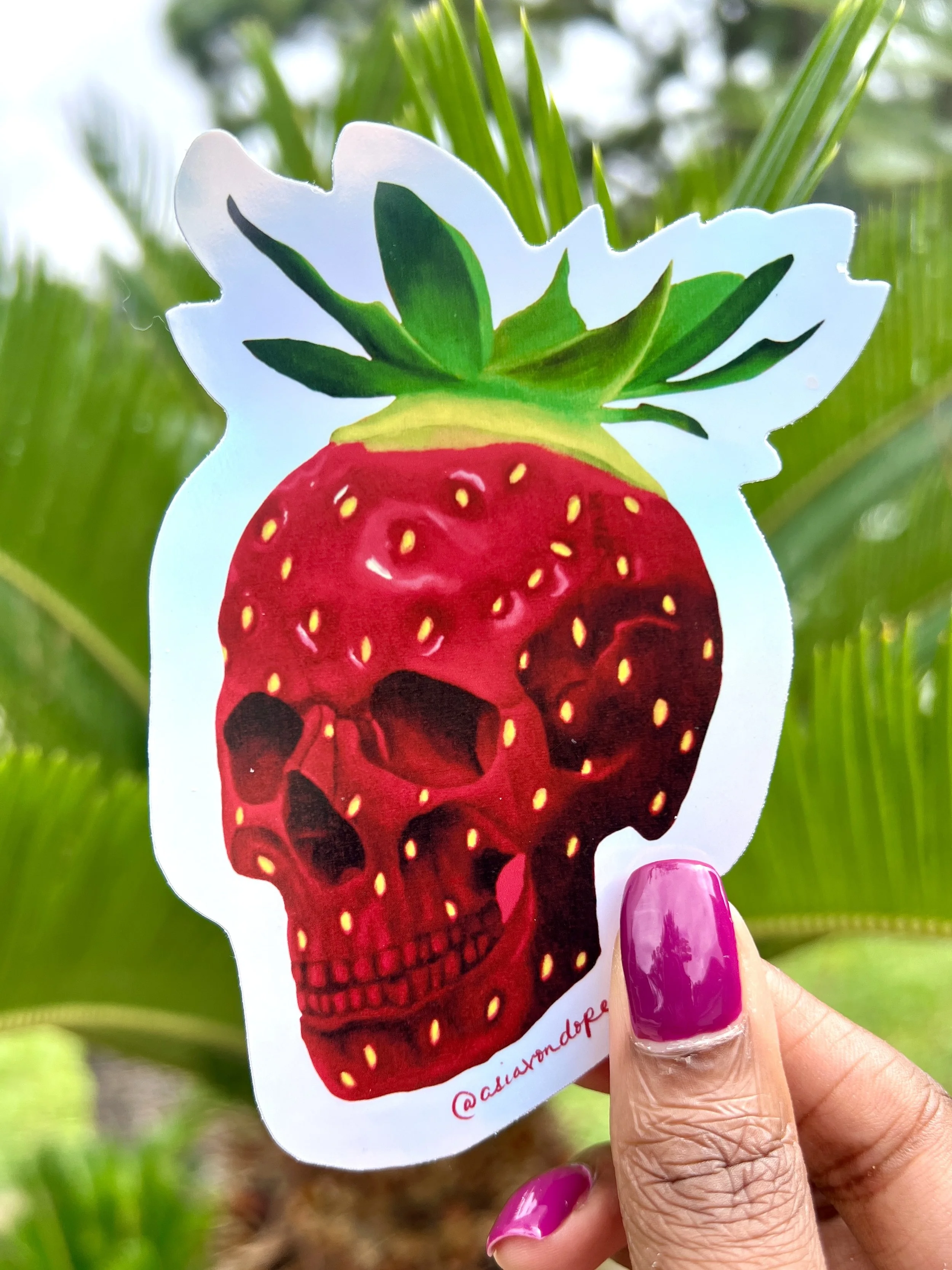skullberrypalm.jpg