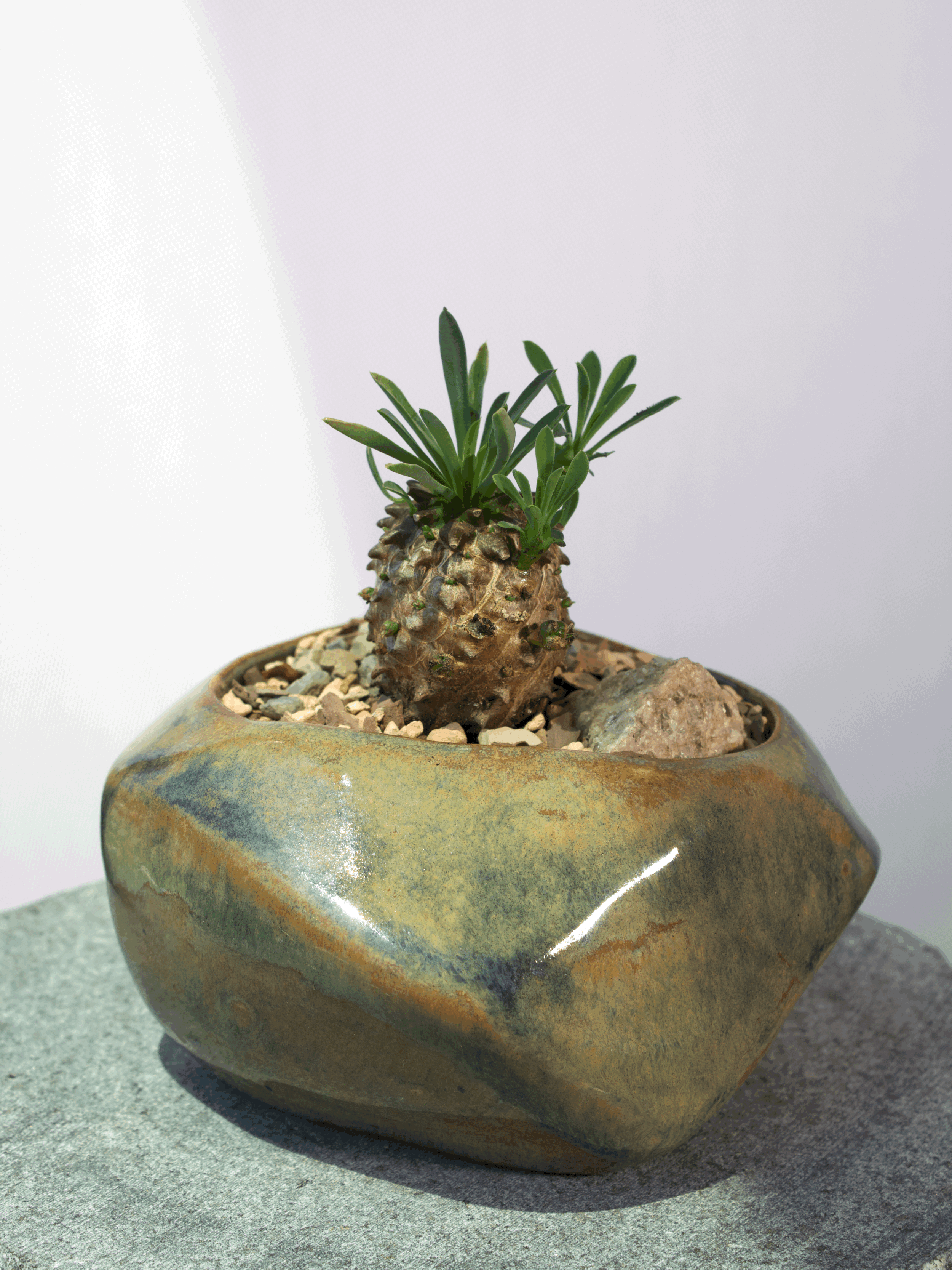 tempImageBehTO9.jpg