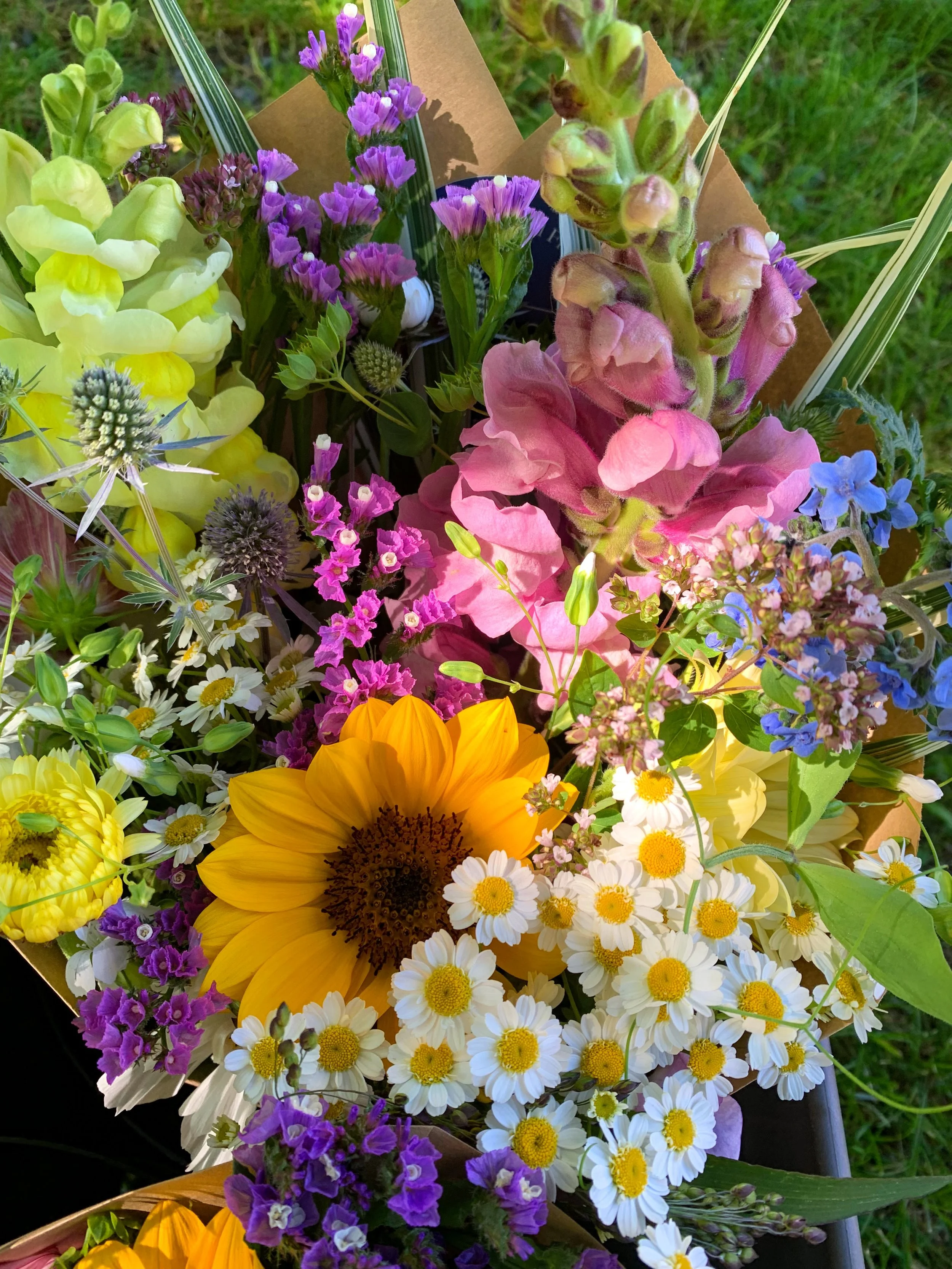 Newfoundland Grown Flowers — Blue Bridge Gardens