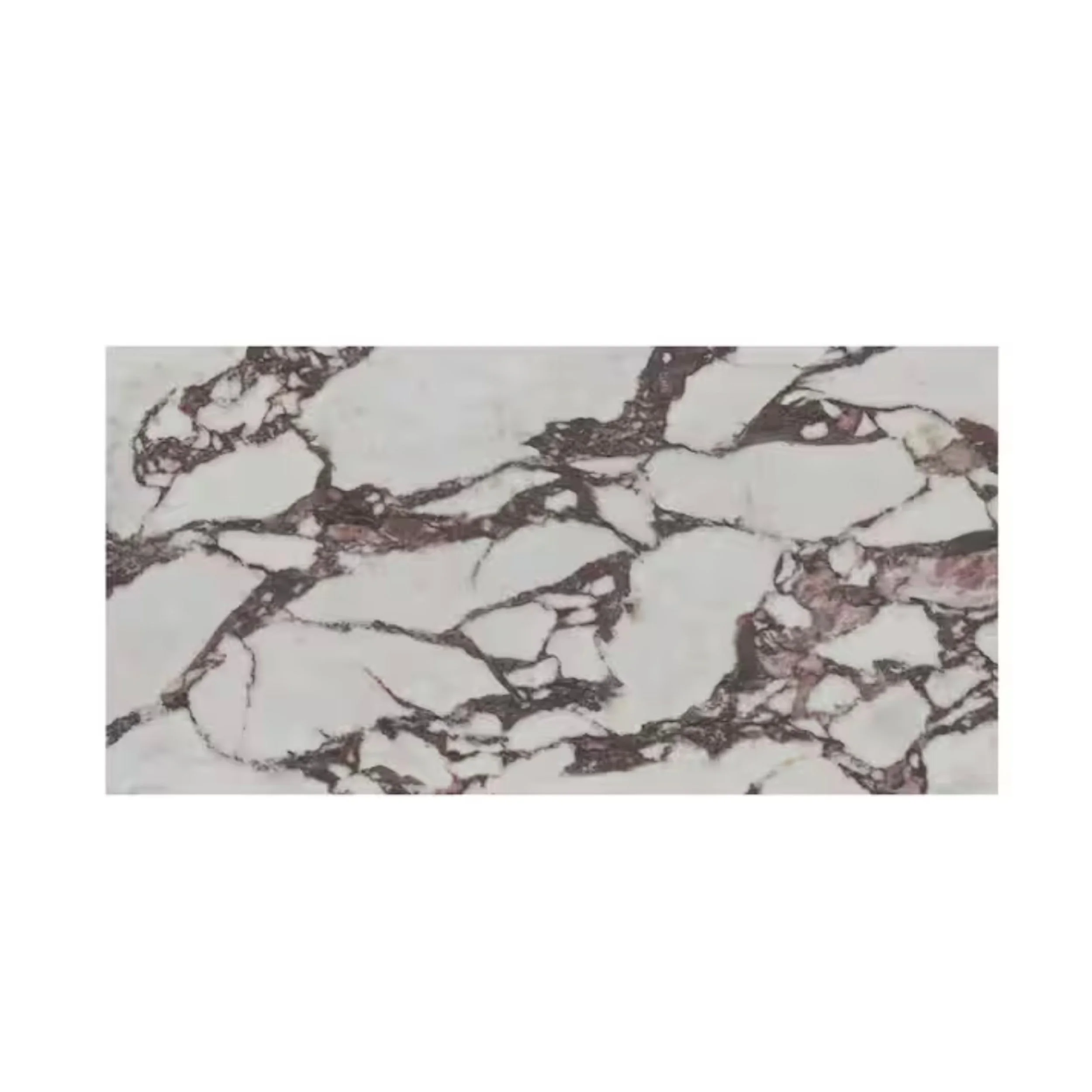 MSI Calacatta Viola Tile Square.jpg