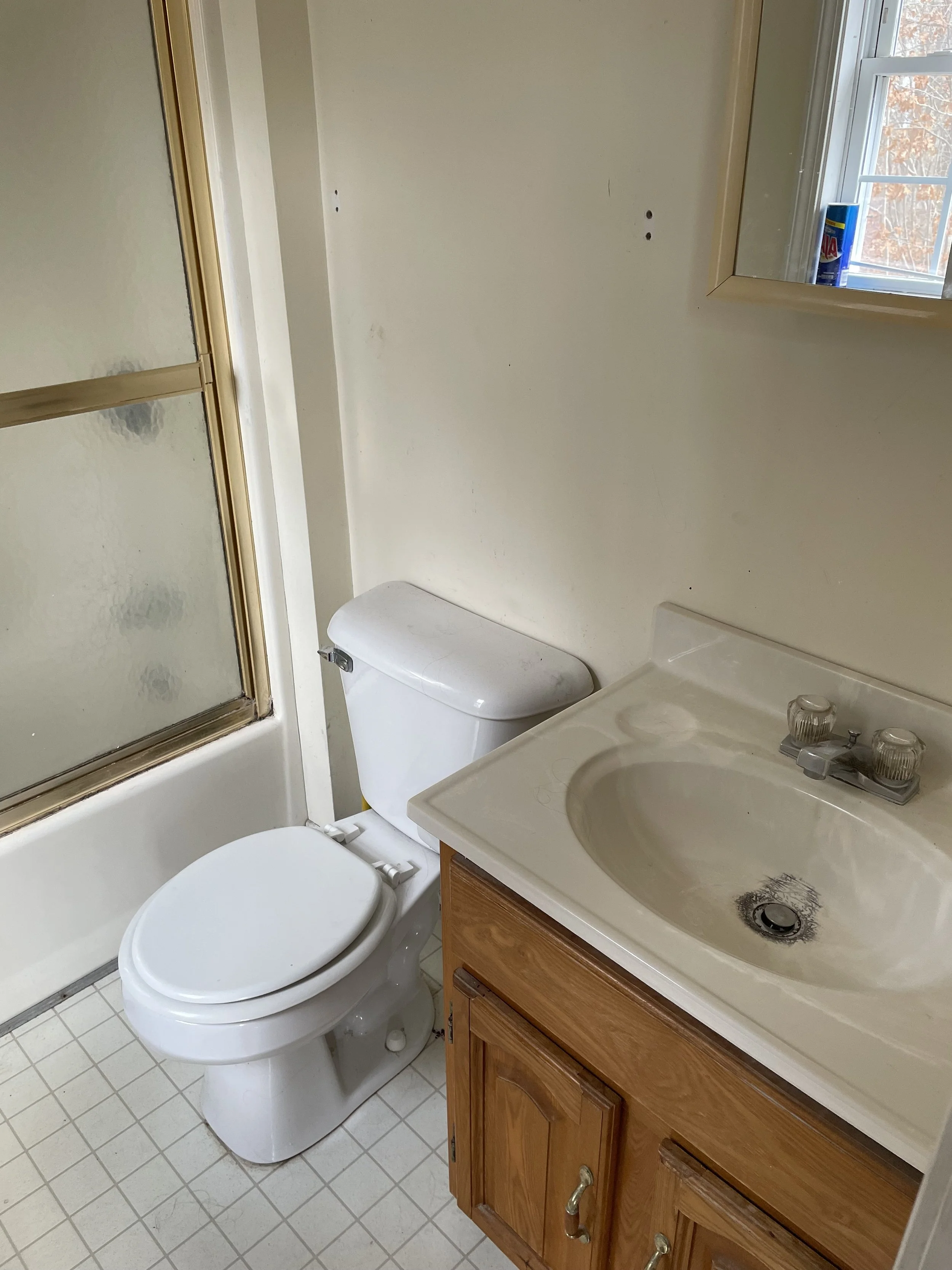 Preppy Hollow House Bathroom Before.jpg