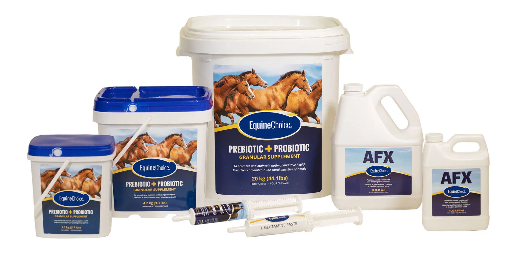 Equine Choice Online Shopping Now Available in the US