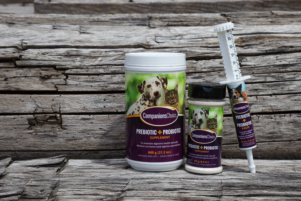 Equine Choice Online Shopping Now Available in the US