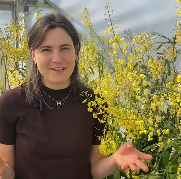 Centre for Genetic Resources, the Netherlands