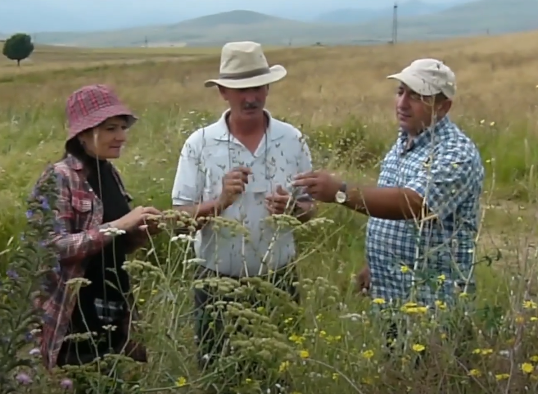 European Evaluation Network