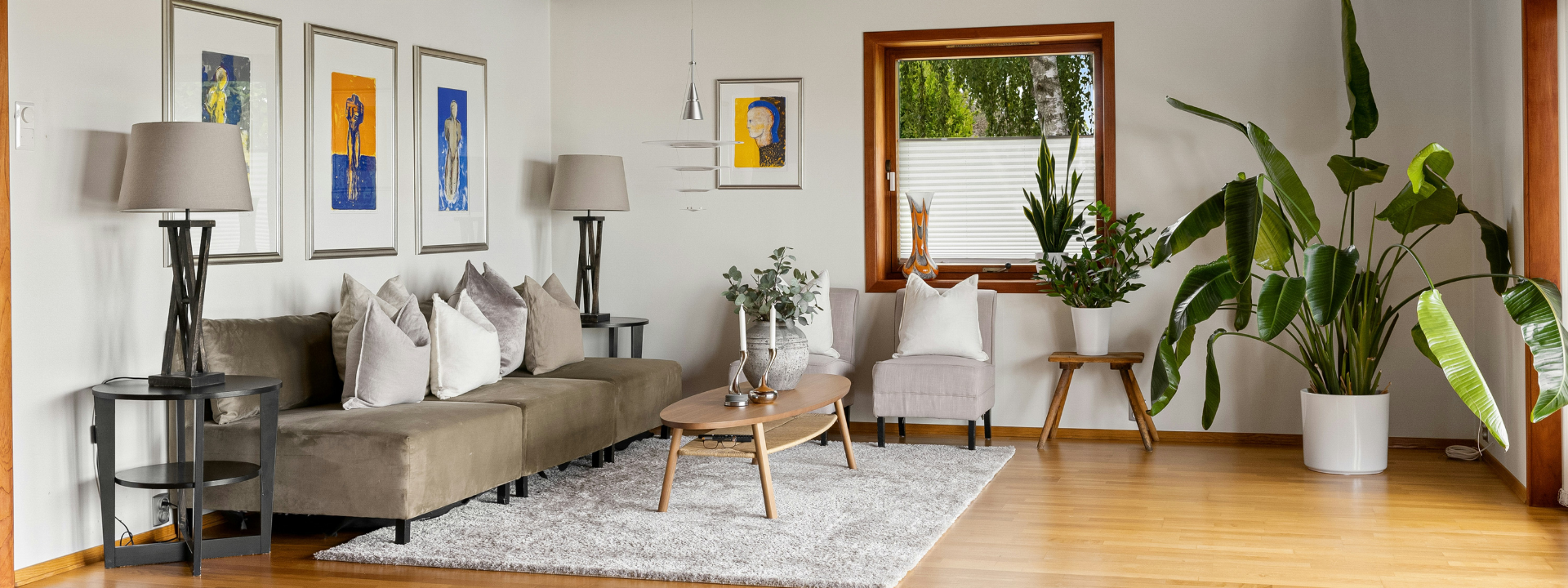 Website Banner (1).png