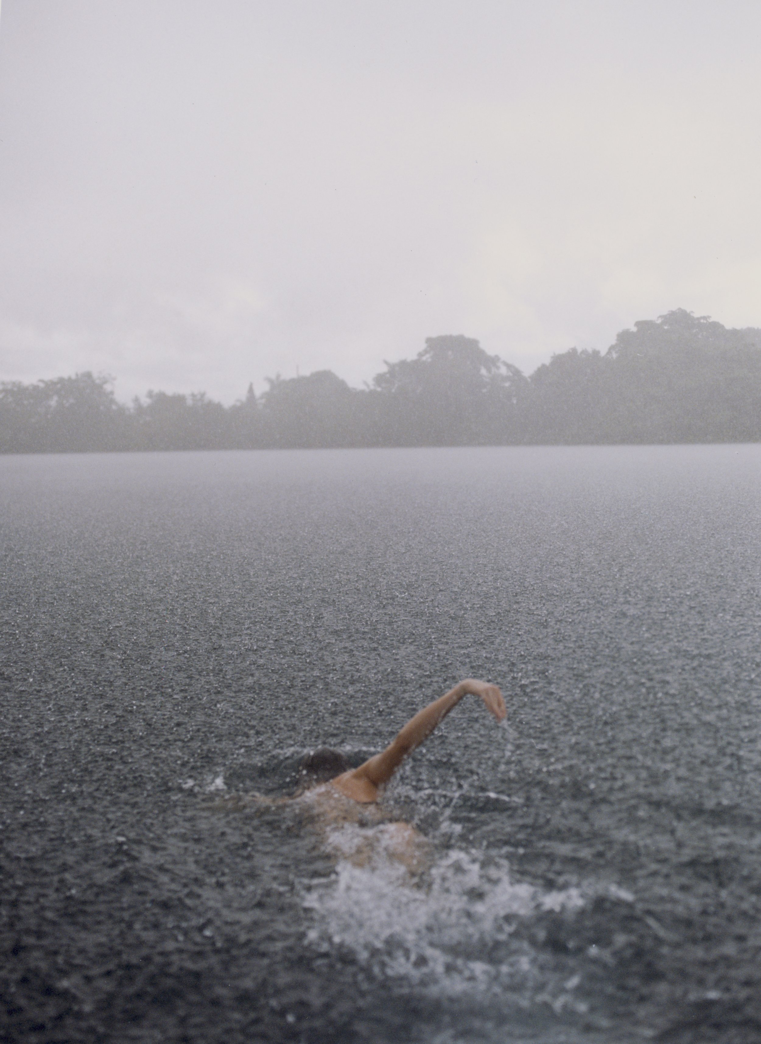 DDI17.JPG