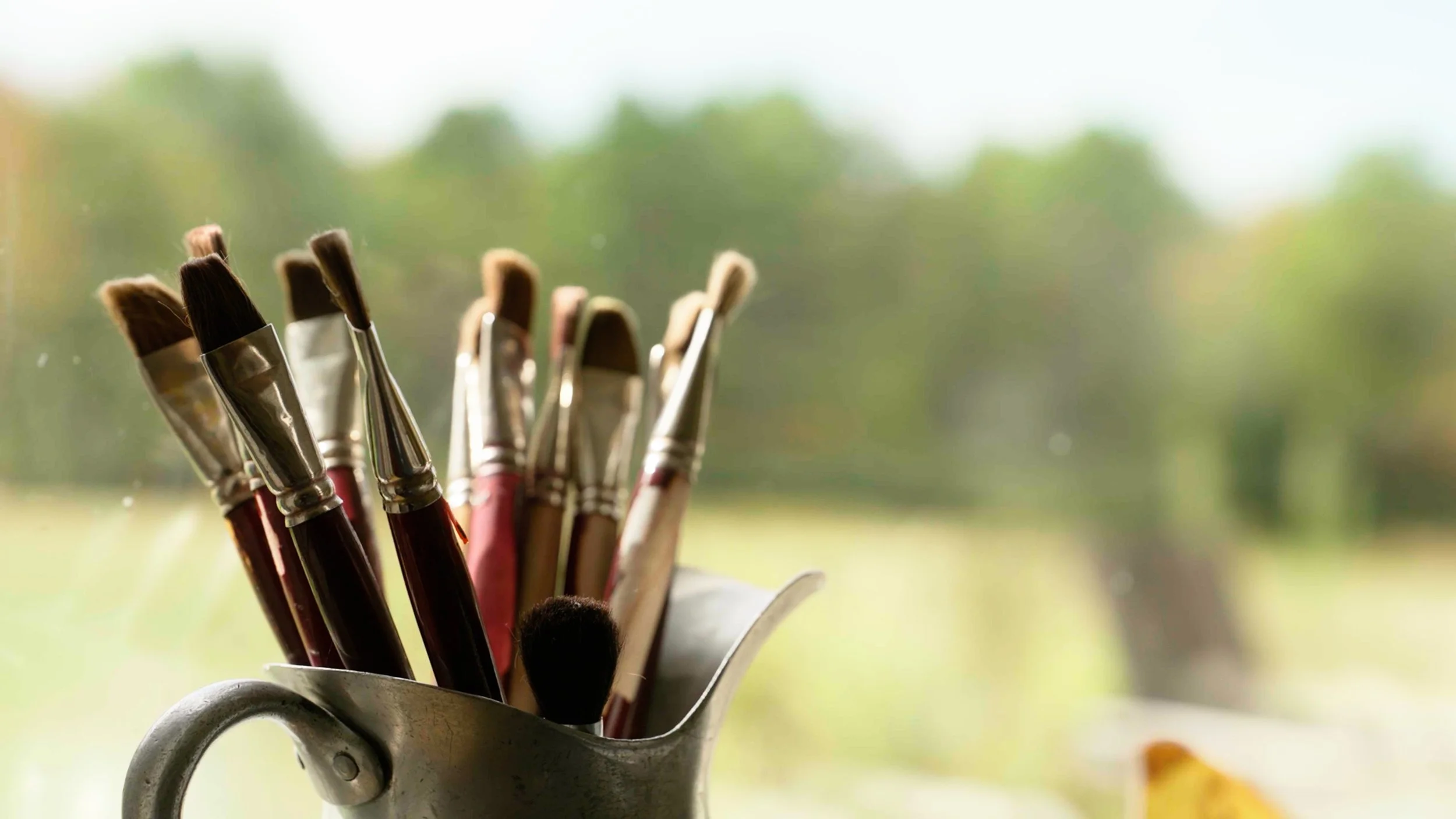 Where Purpose Grows: Maine Coast Waldorf School